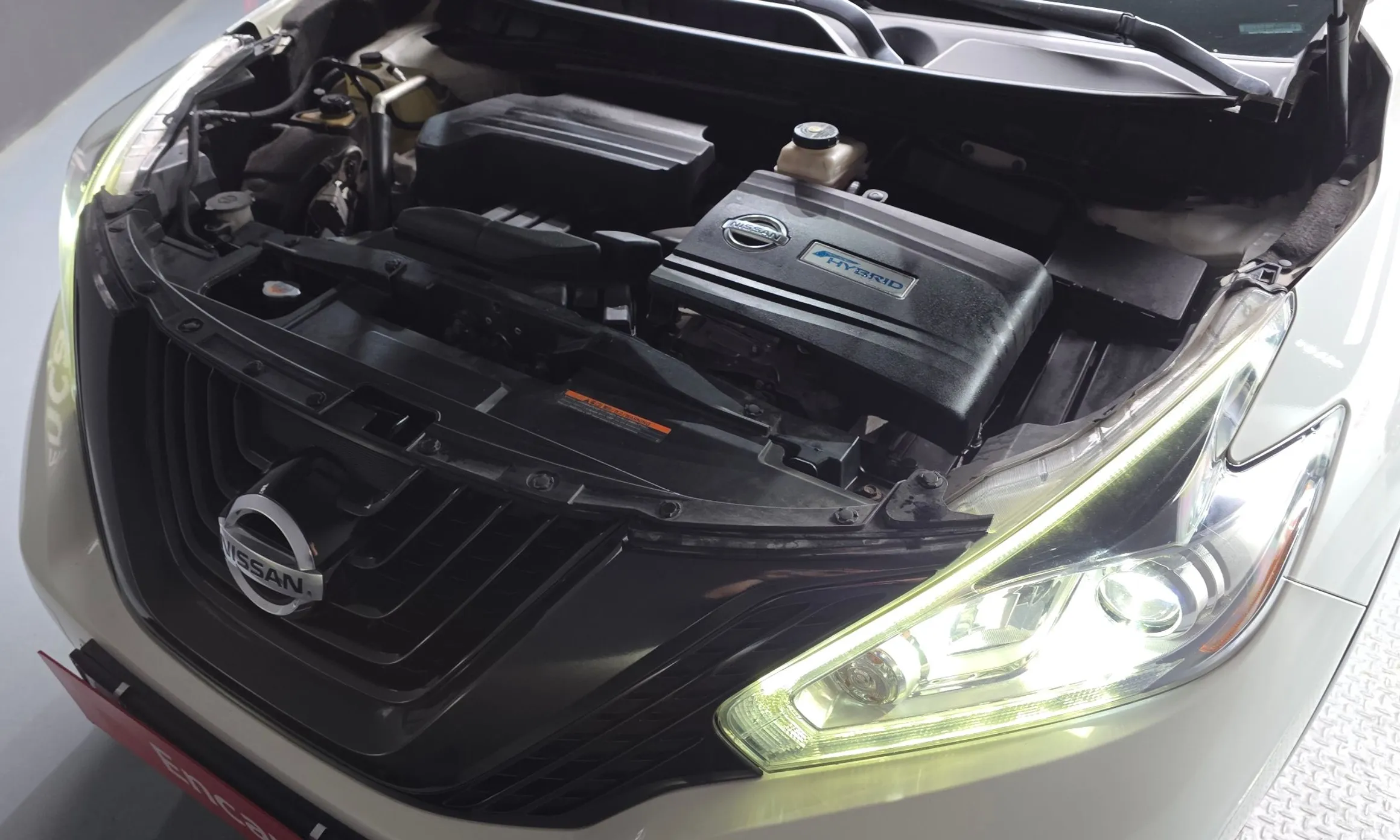 Nissan Murano (Z52) превью 6