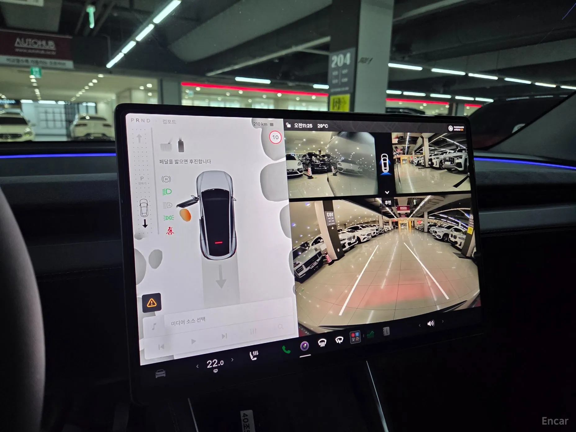 Tesla Model Y превью 14