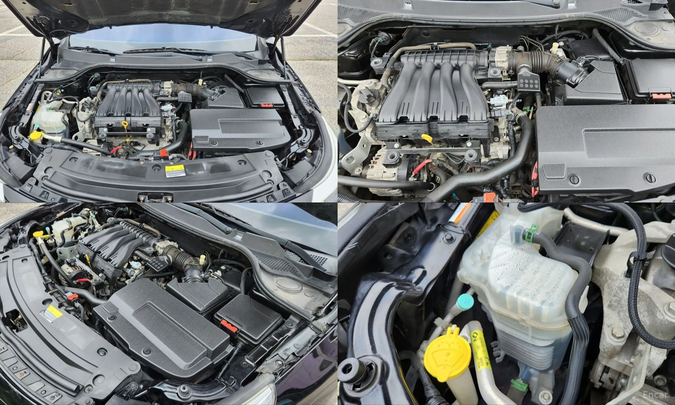 Renault Korea (Samsung) SM5 превью 6