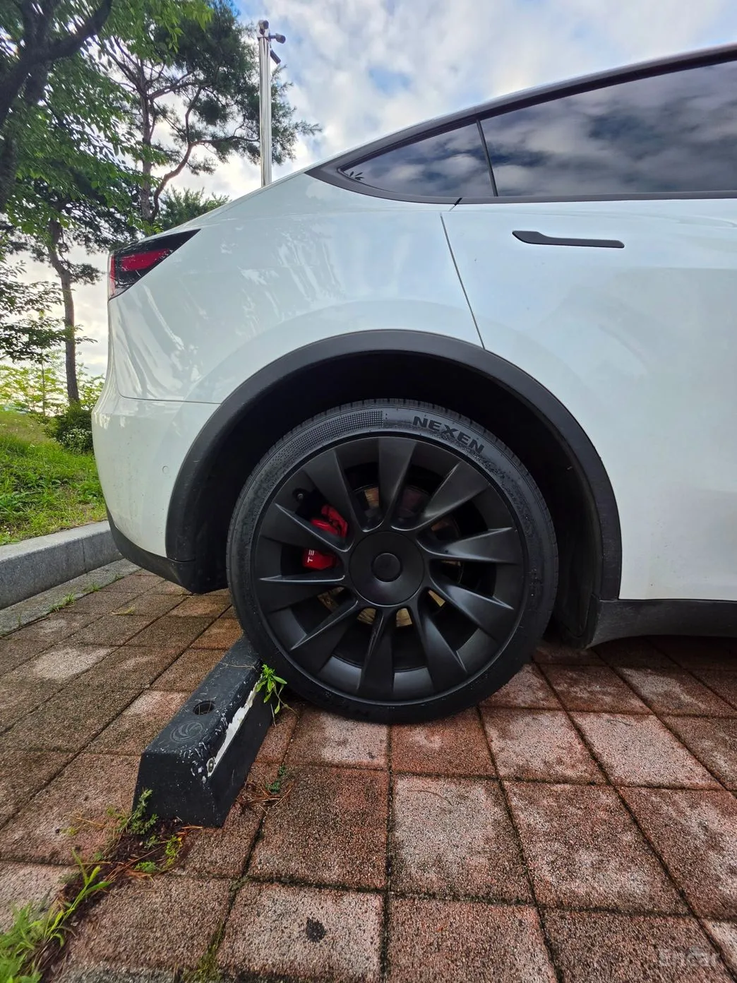 Tesla Model Y превью 14