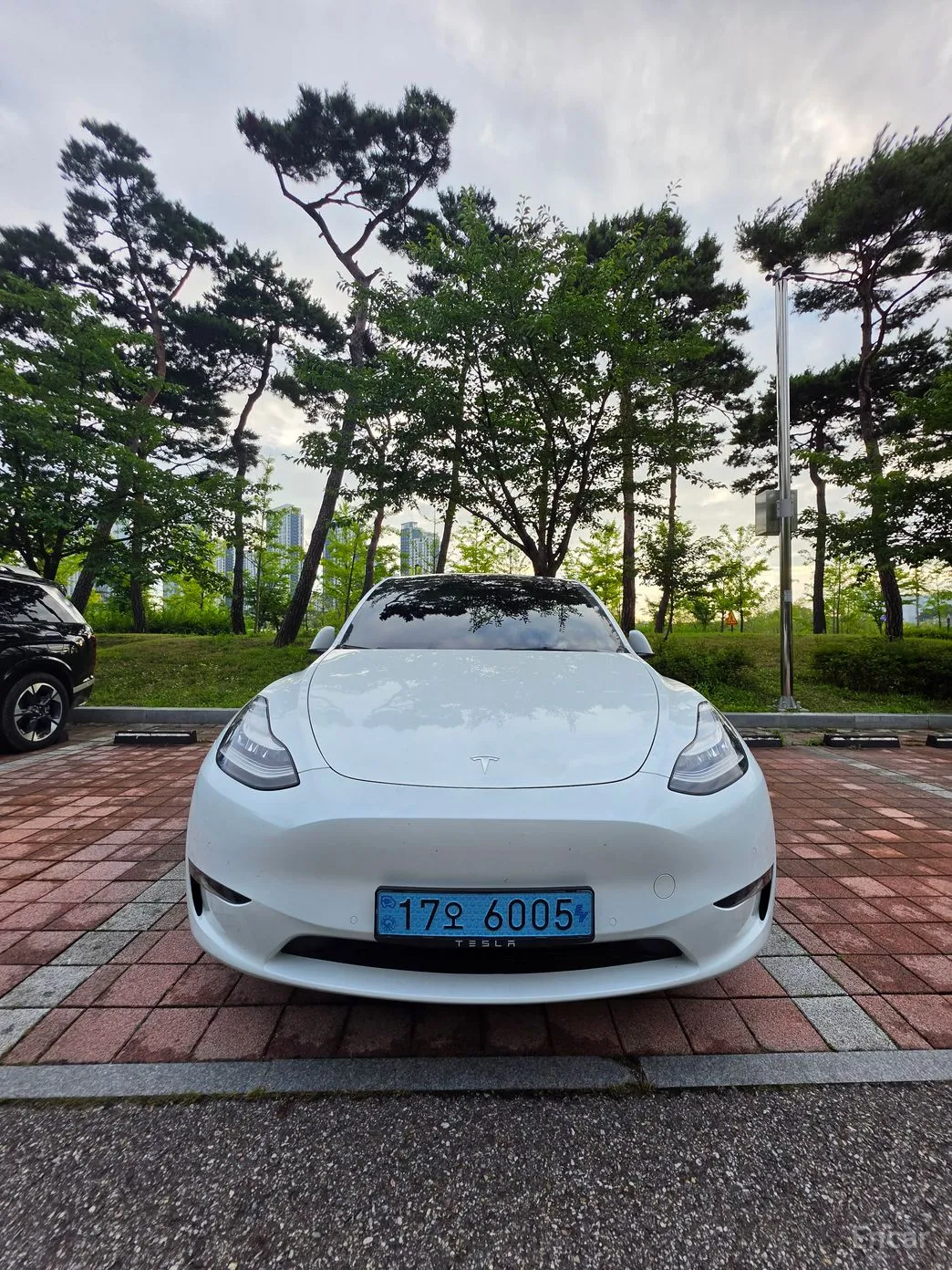 Tesla Model Y превью 3