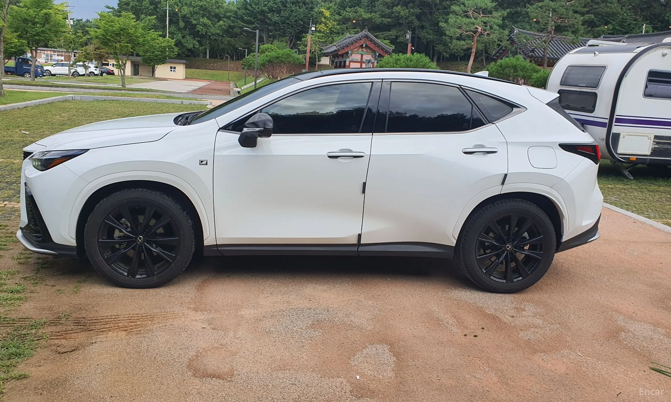 Lexus NX450h + 2nd Gen превью 12