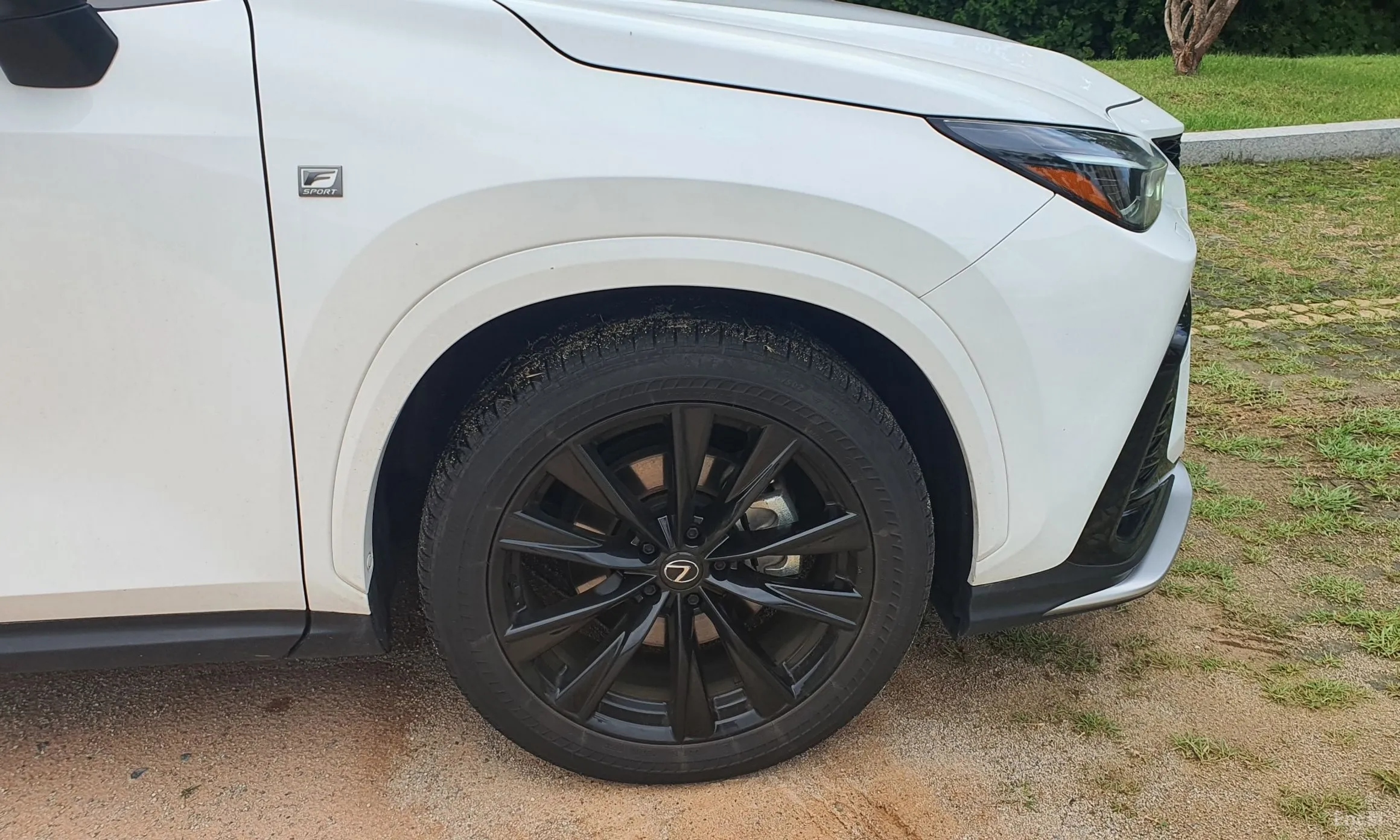 Lexus NX450h + 2nd Gen превью 13