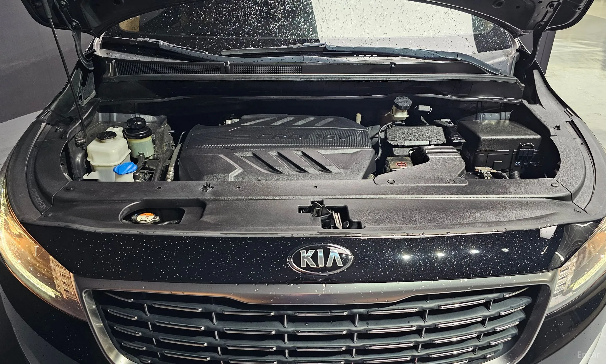 Kia Carnival превью 6