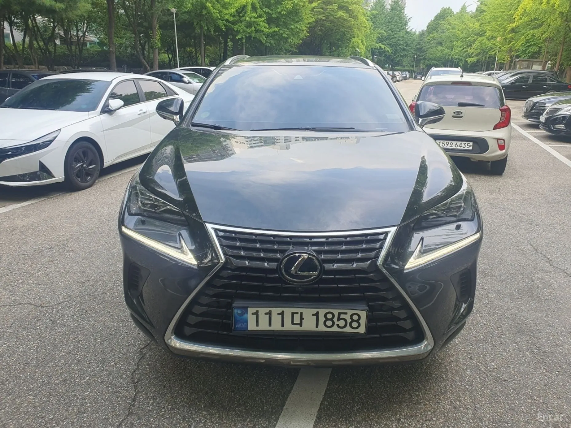 Lexus NX300h