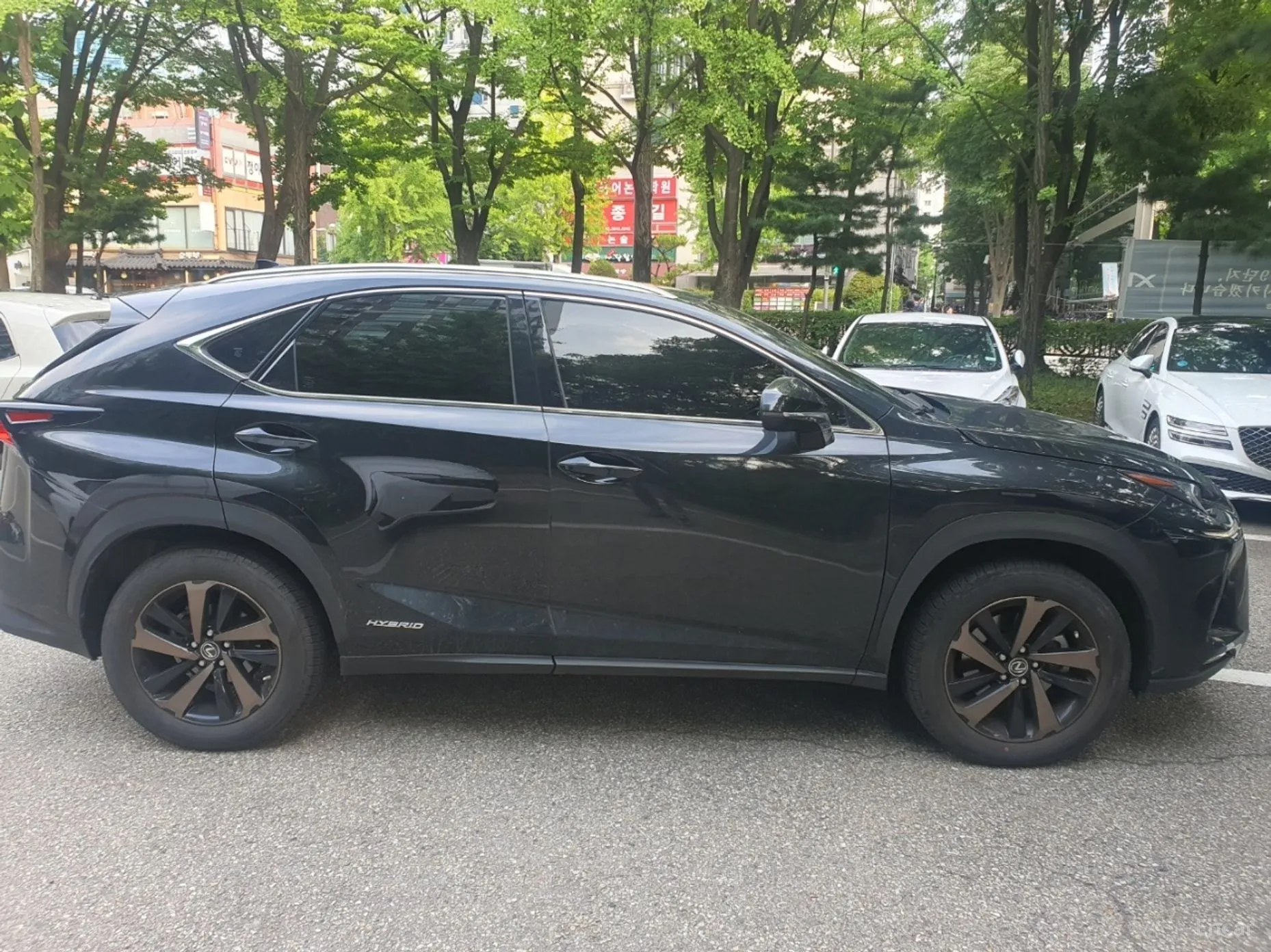 Lexus NX300h