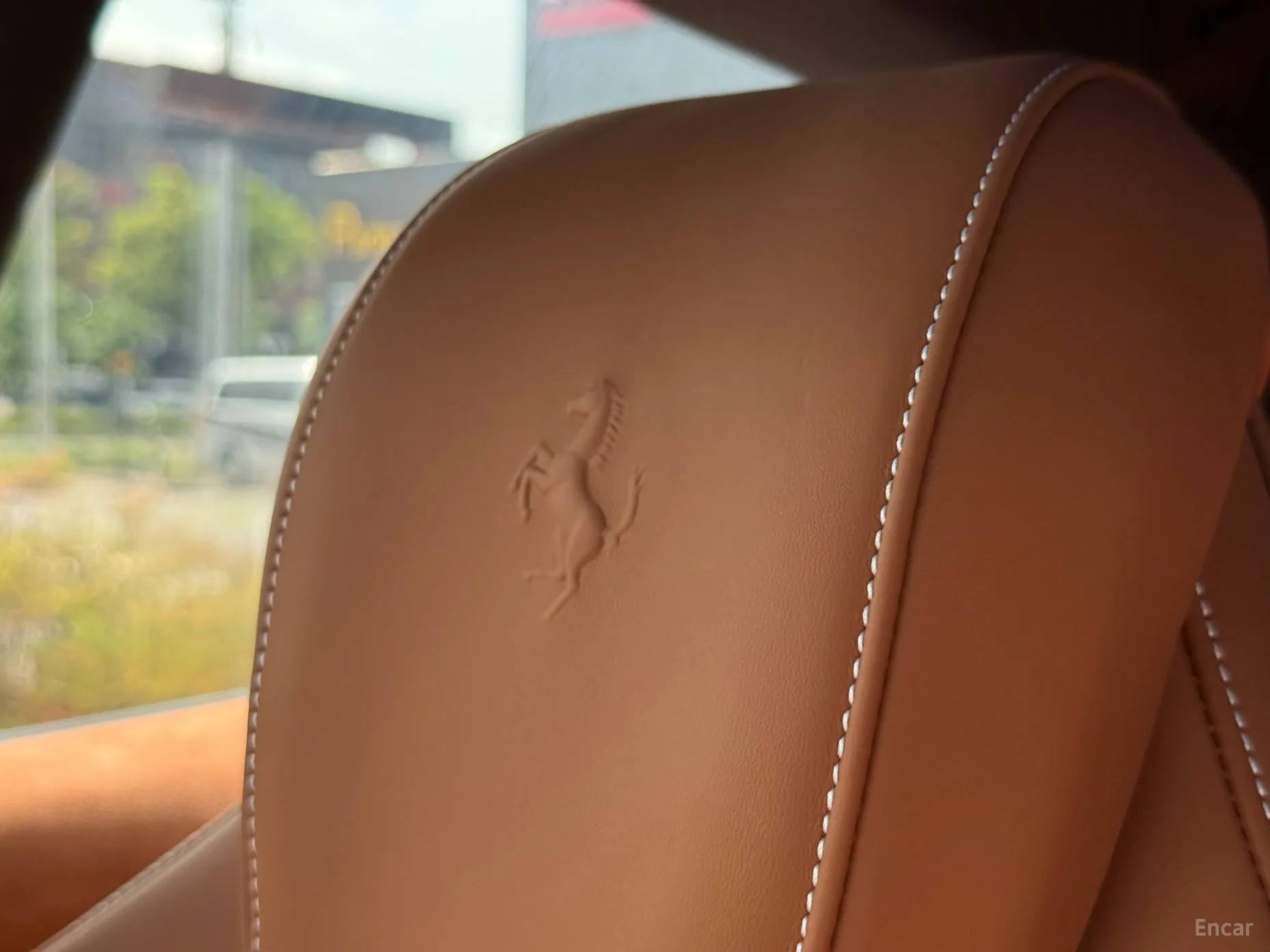 Ferrari Puro Sange превью 14