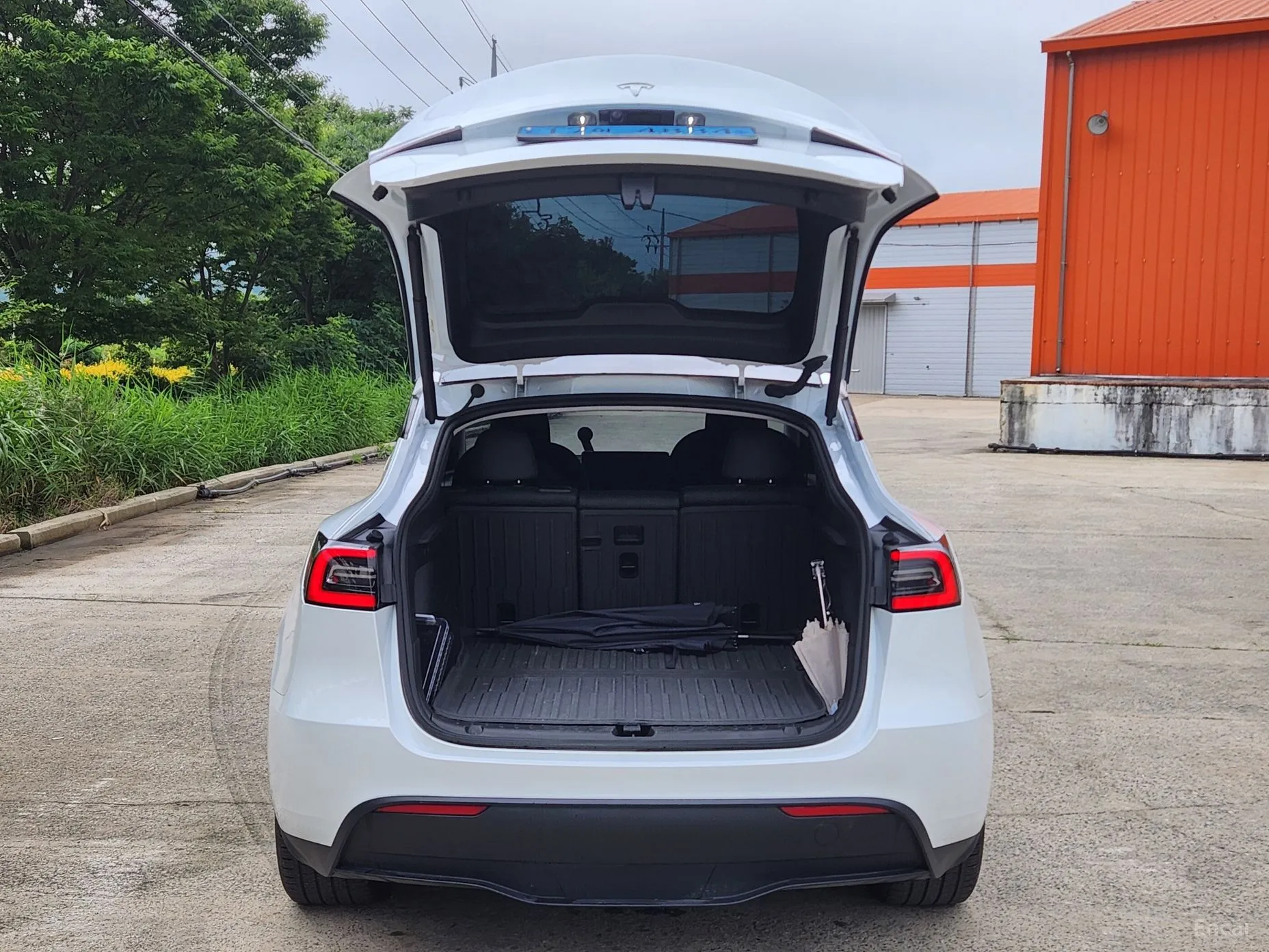 Tesla Model Y превью 7