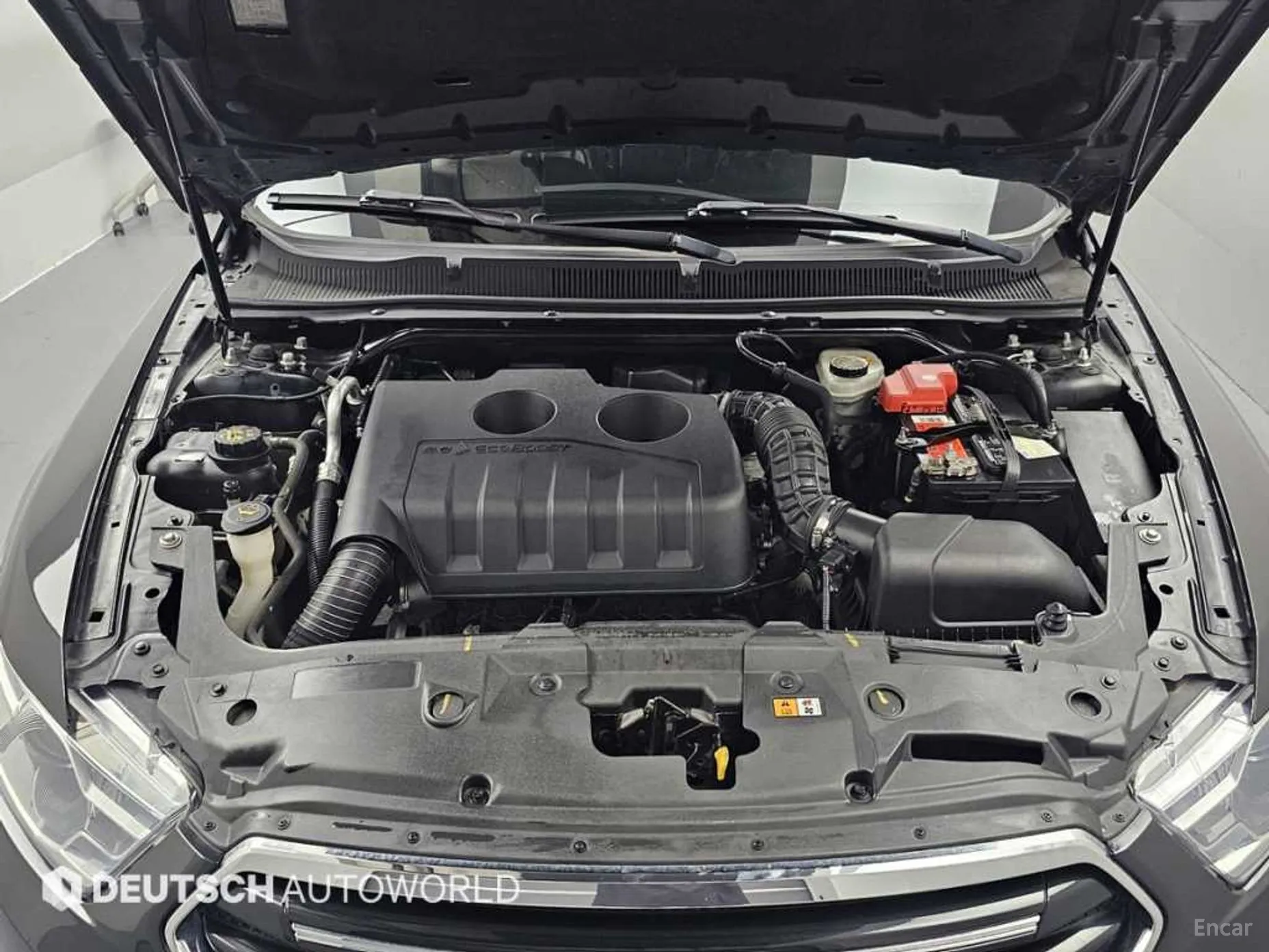 Ford New Torus превью 6