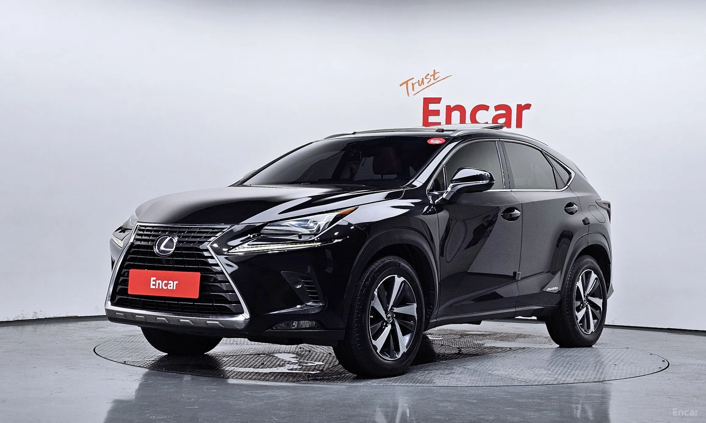 Lexus NX300h