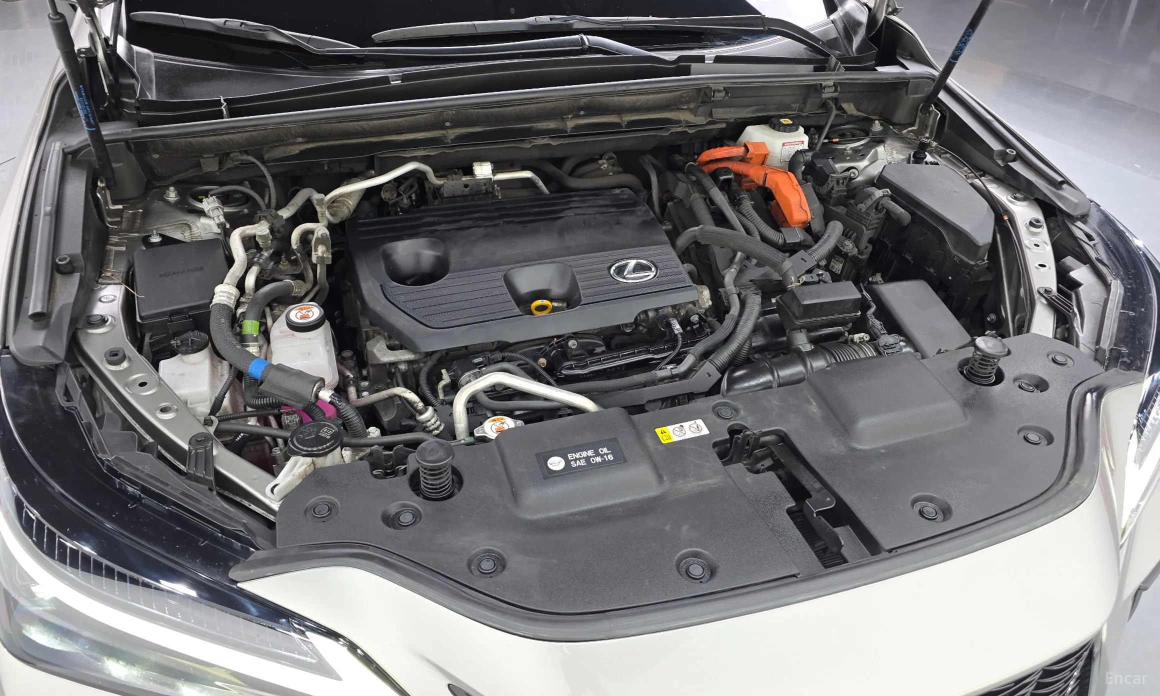 Lexus NX450h + 2nd Gen превью 6