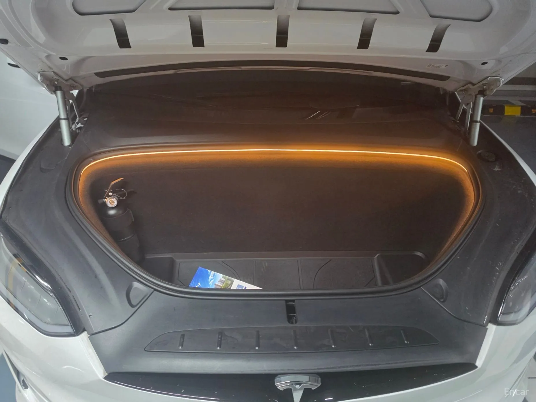 Tesla Model X превью 9