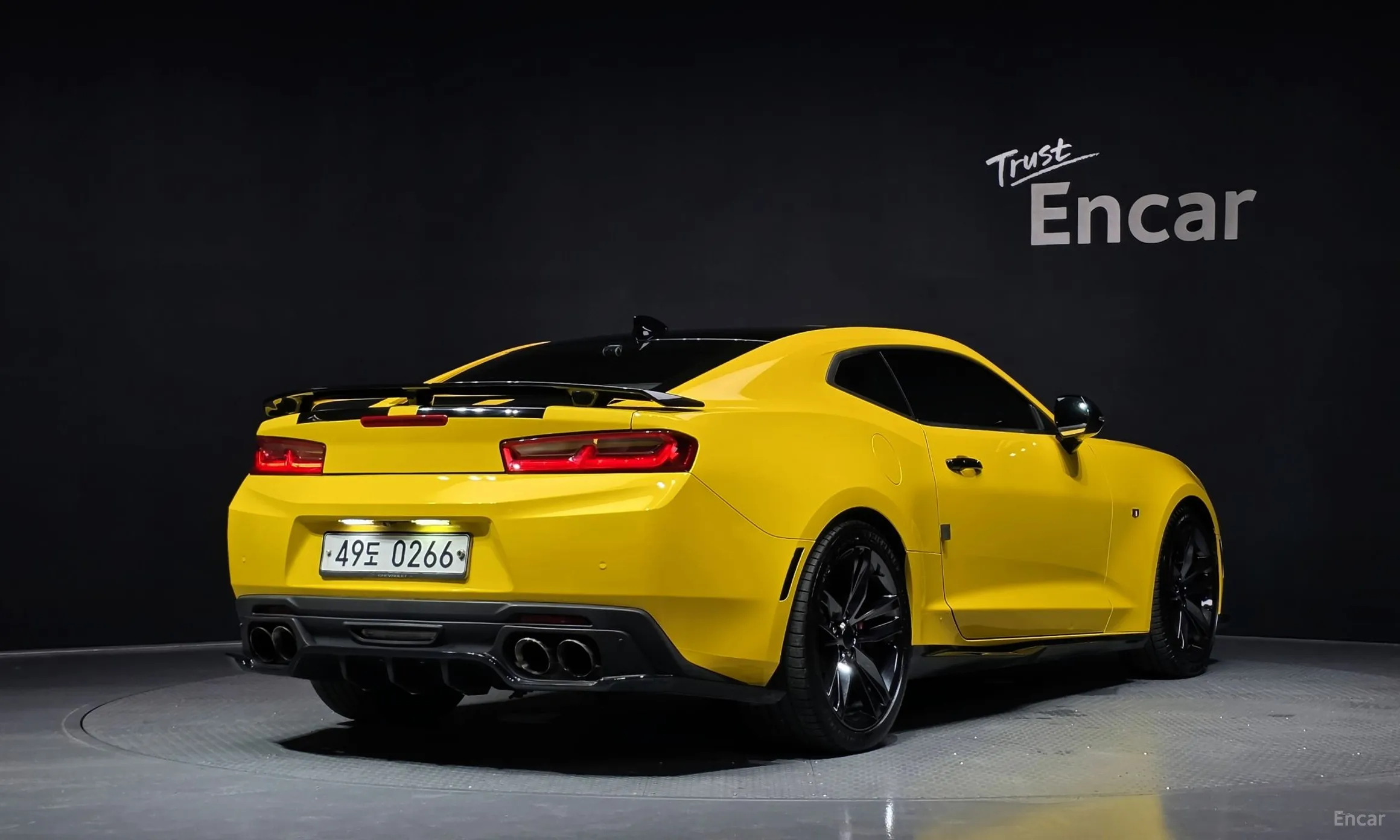 Chevrolet (GM Daewoo) Camaro