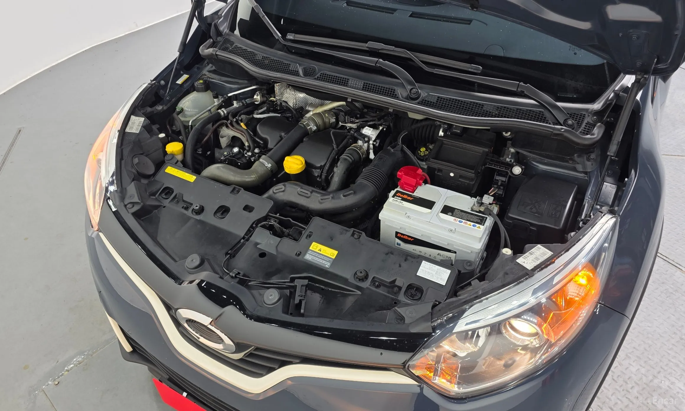 Renault Korea (Samsung) QM3 превью 6