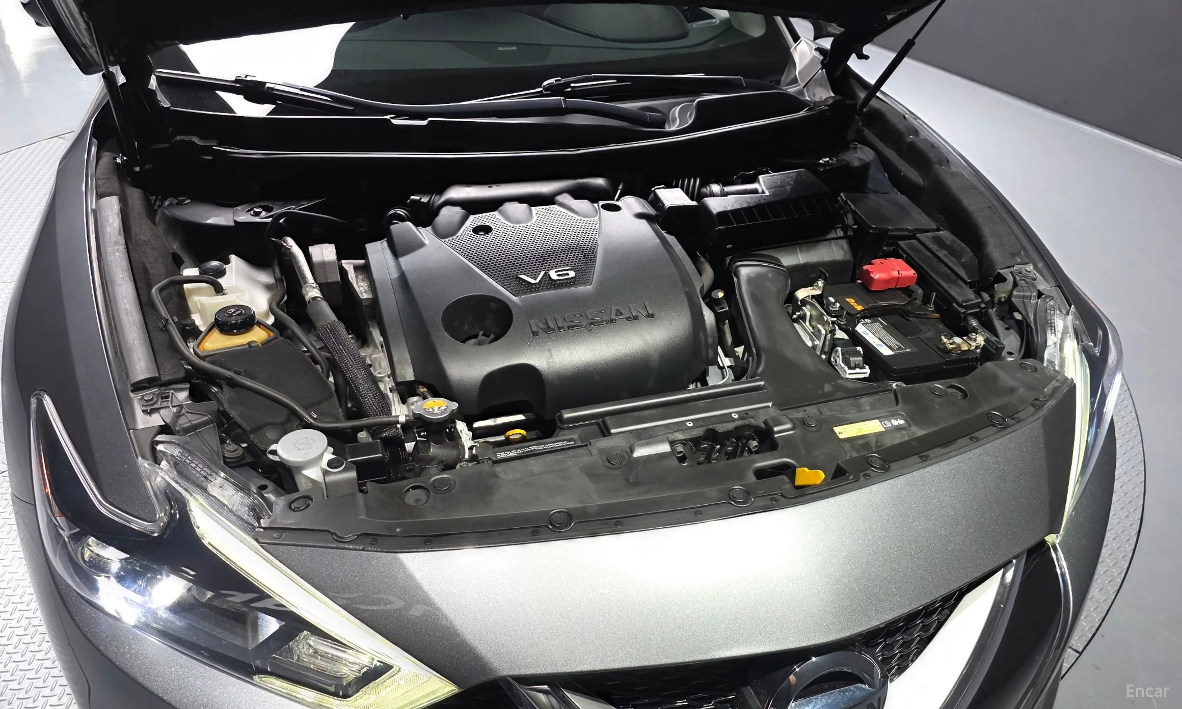Nissan Maxima (A36) превью 6