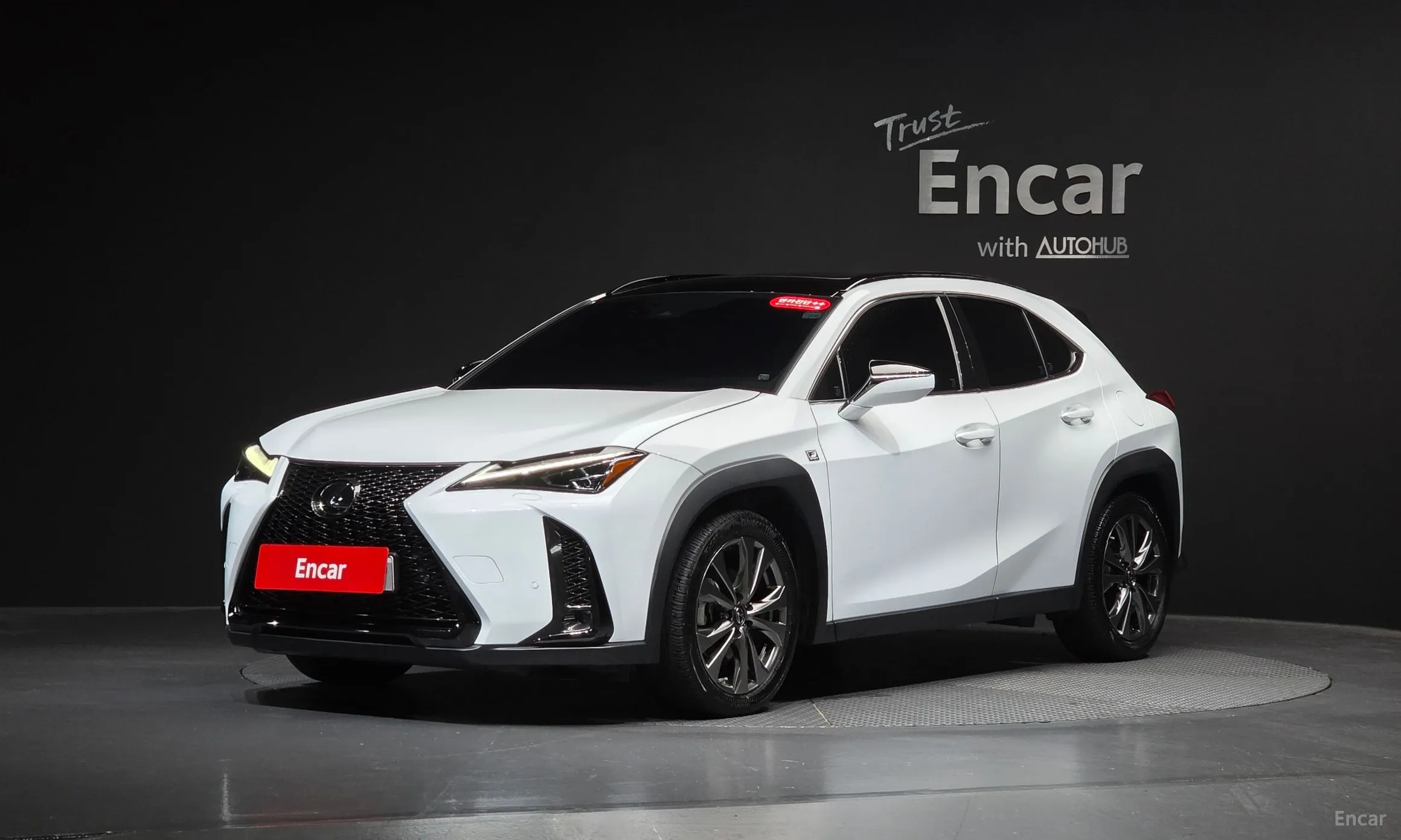 Lexus UX250h