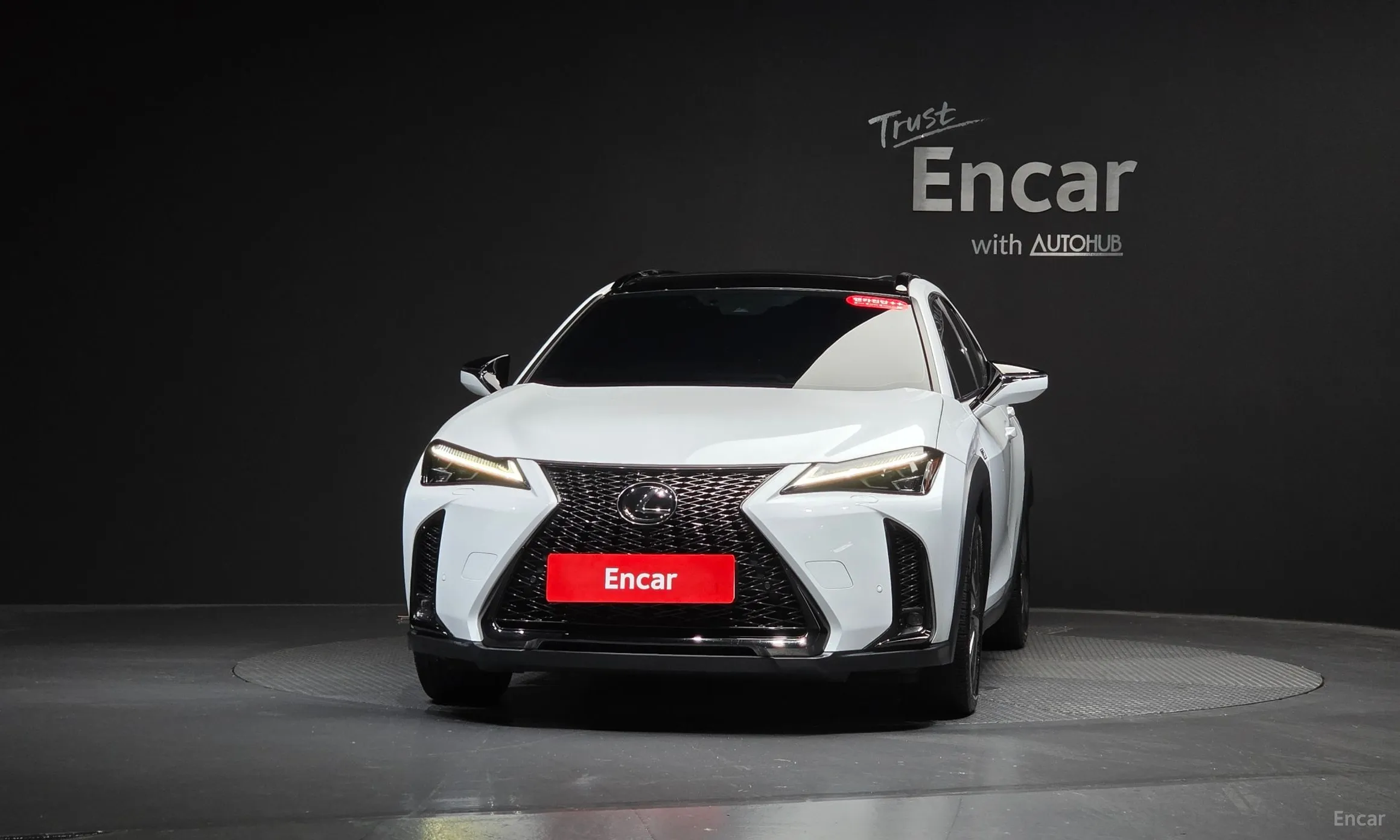 Lexus UX250h превью 3