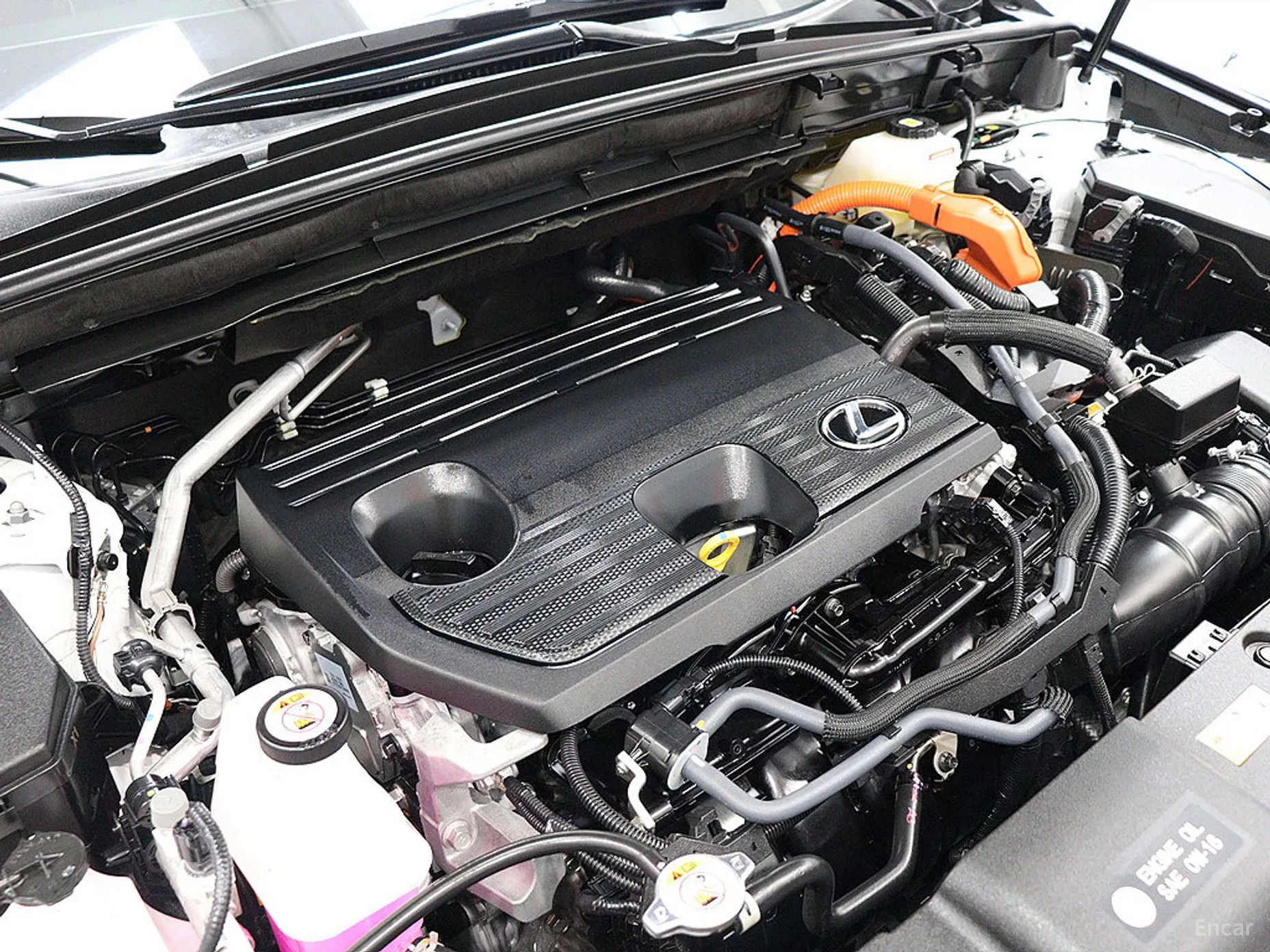 Lexus NX350h Gen 2 превью 19