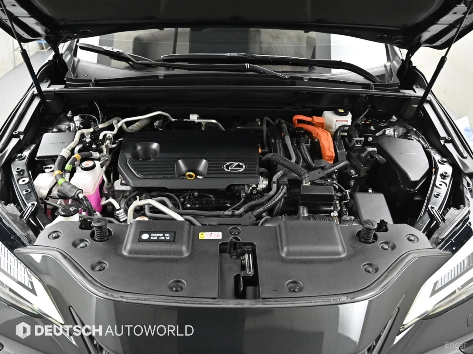 Lexus NX450h + 2nd Gen превью 18