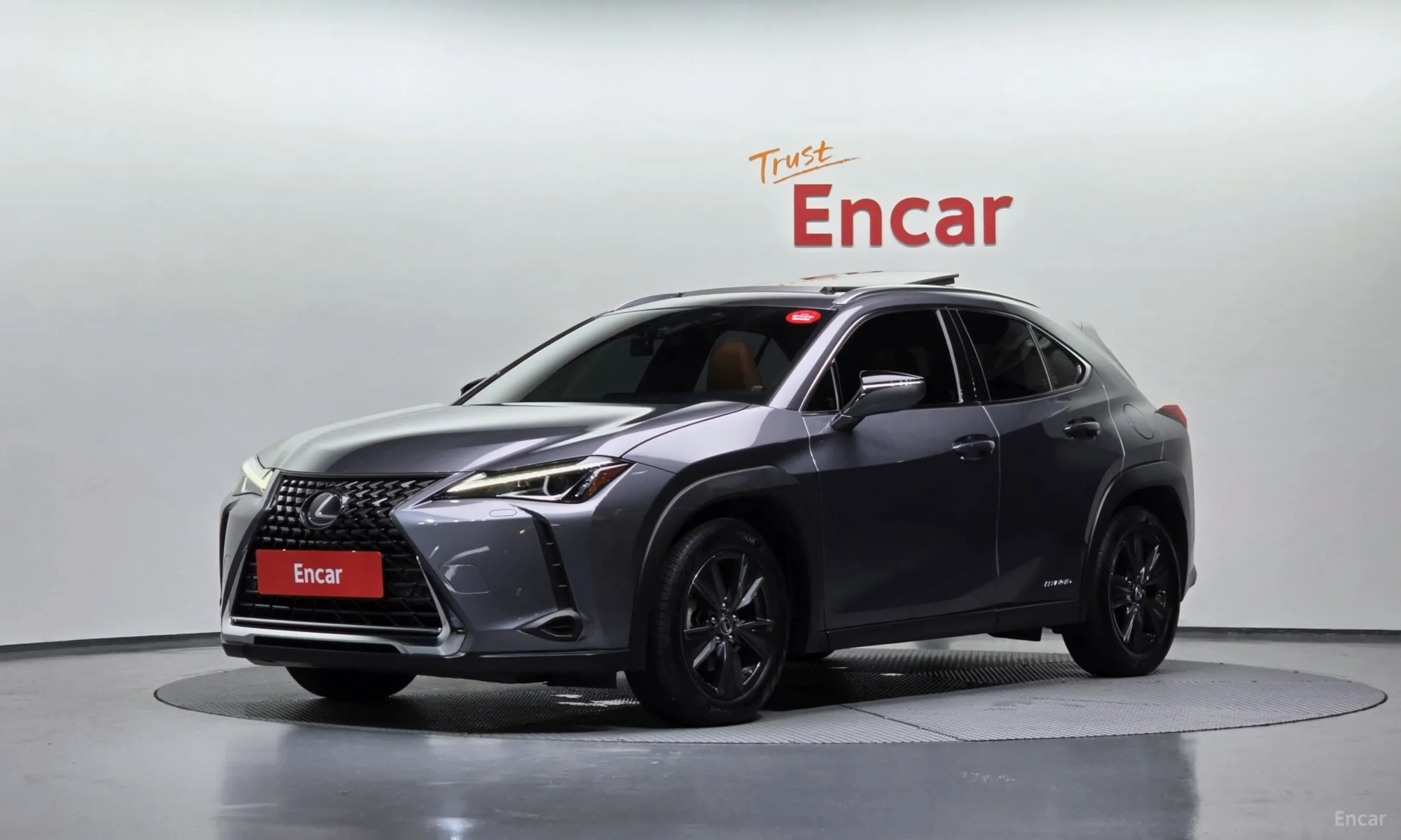 Lexus UX250h