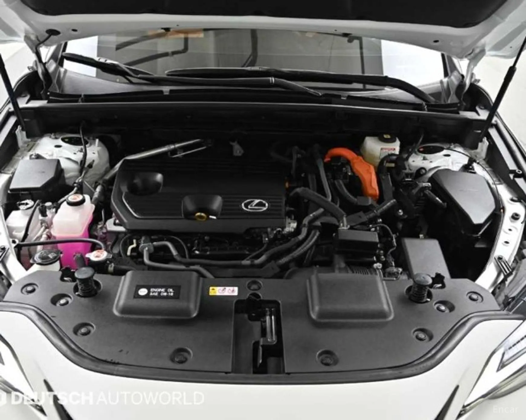 Lexus NX350h Gen 2 превью 6
