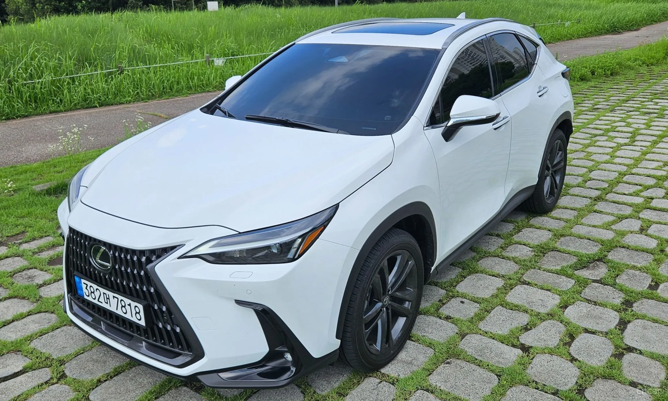 Lexus NX350h Gen 2