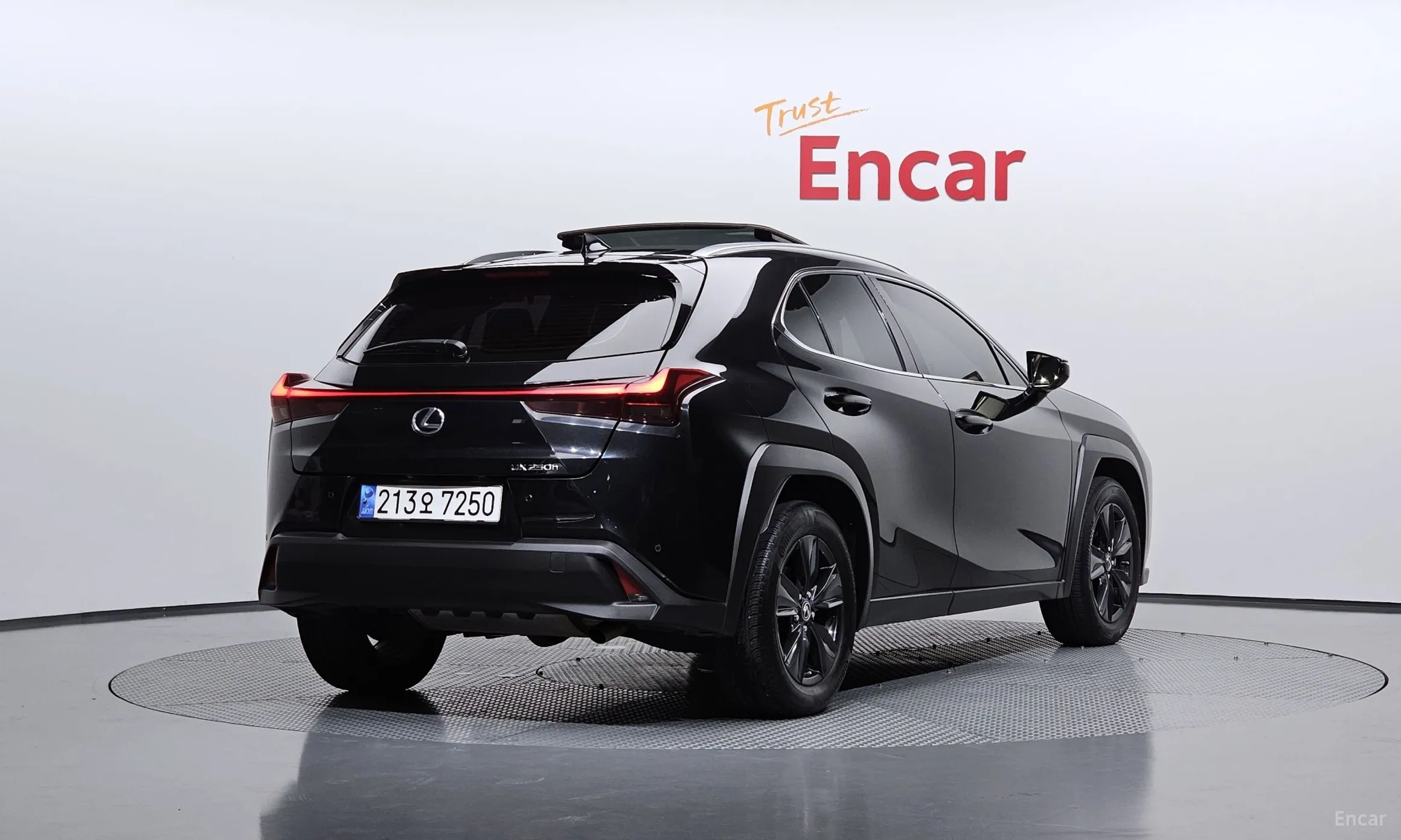 Lexus UX250h