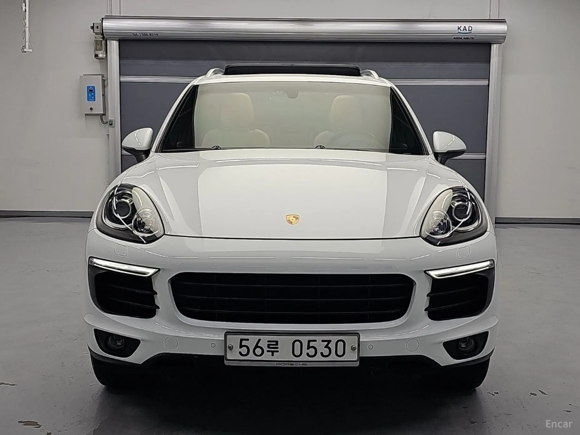 New Cayenne