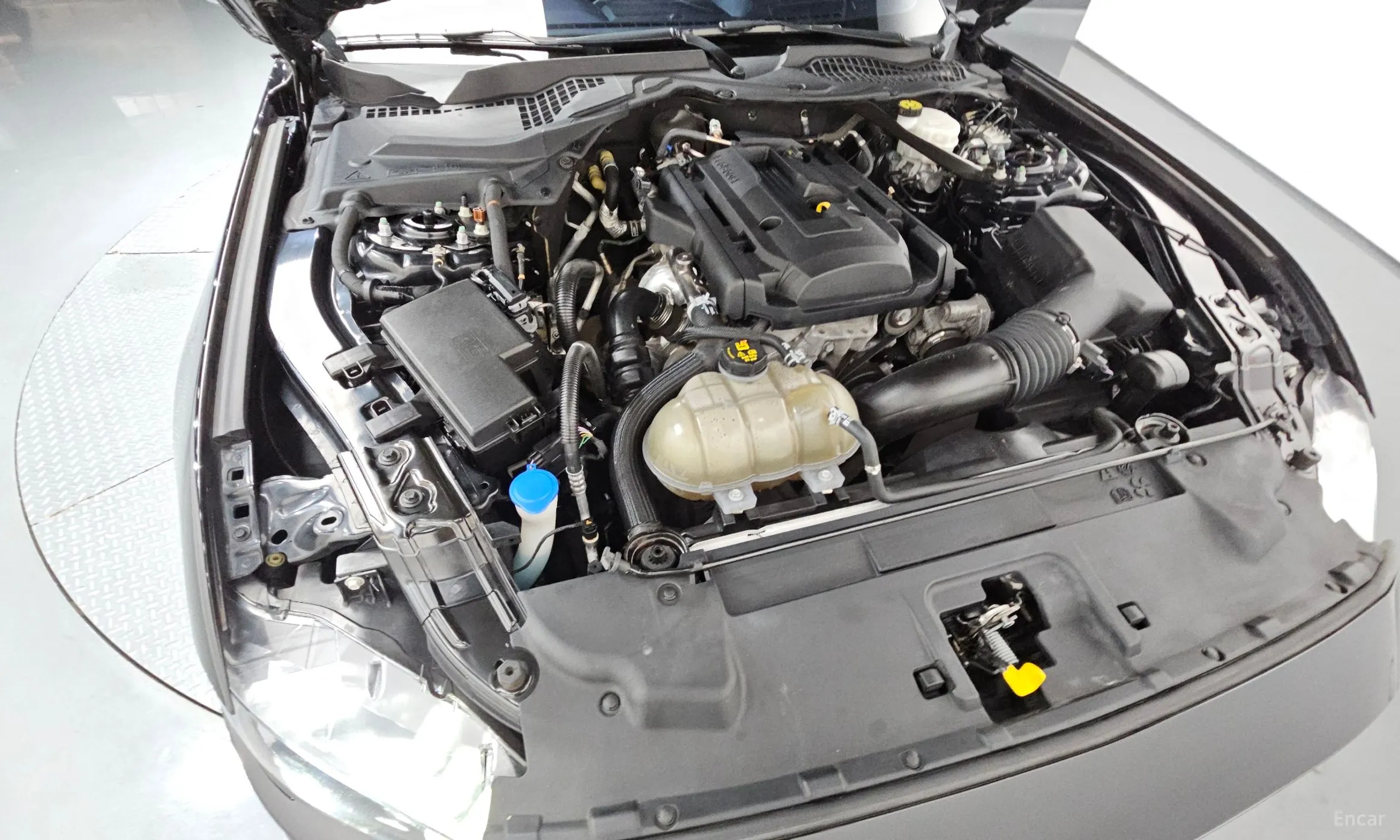 Ford Mustang превью 6