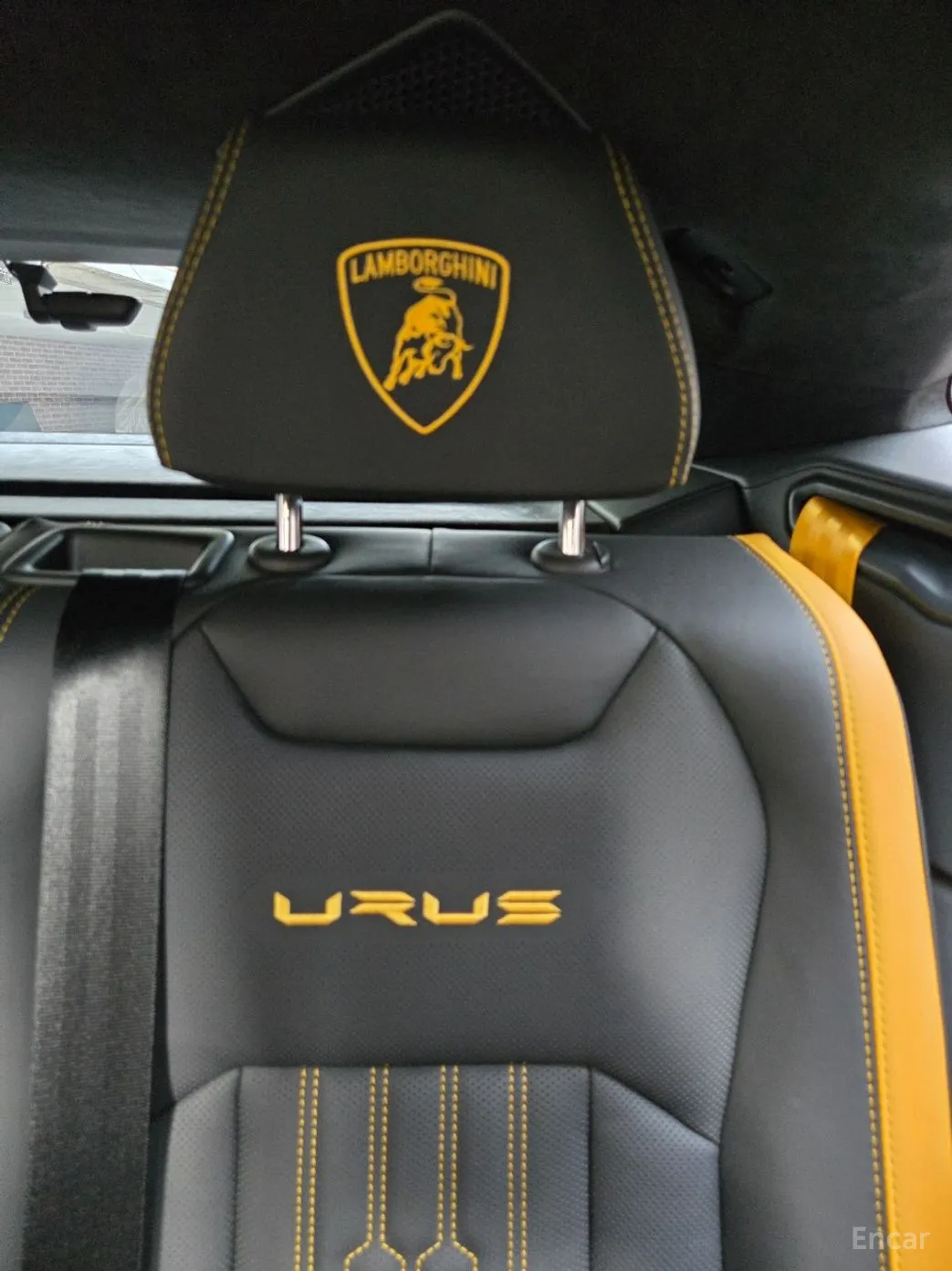 Lamborghini Urus превью 11