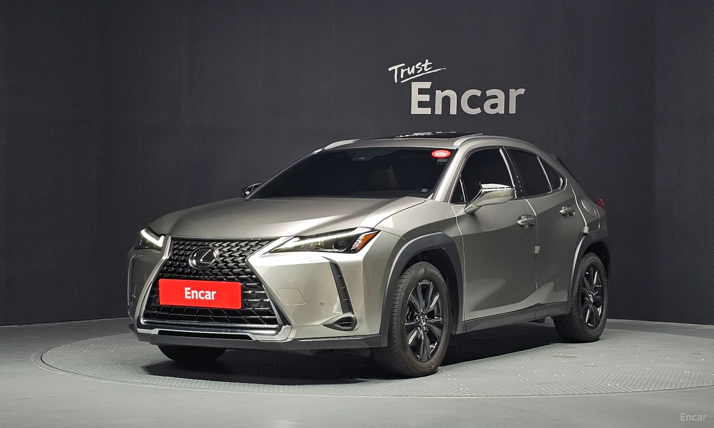 Lexus UX250h