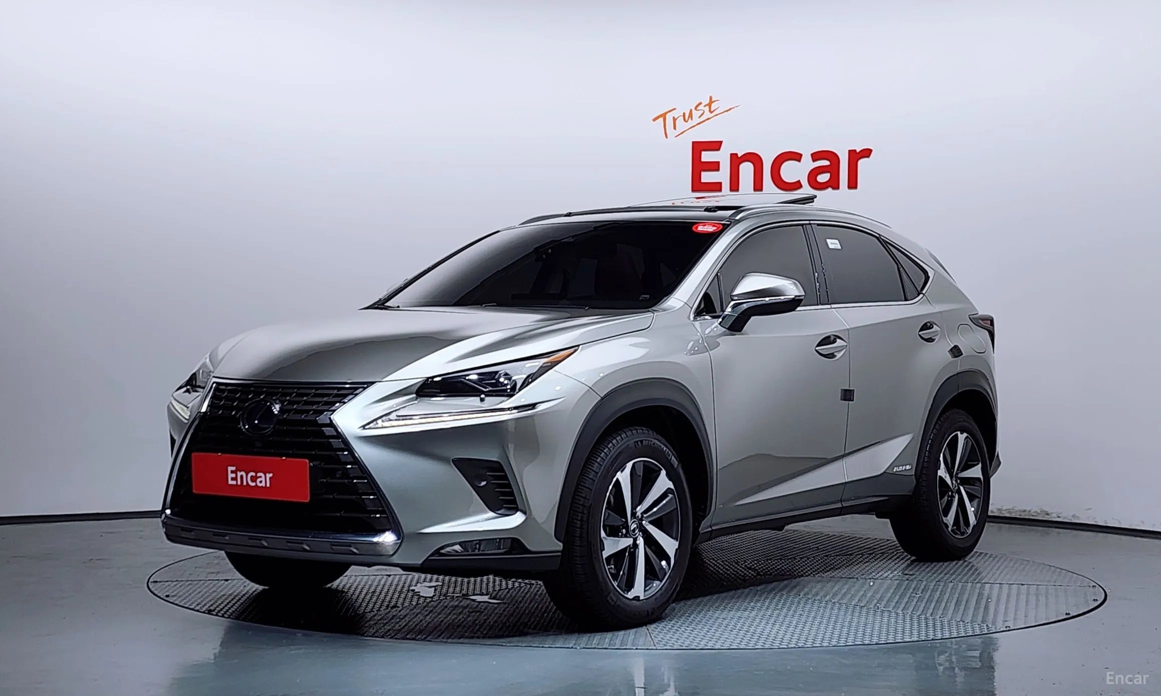 Lexus NX300h