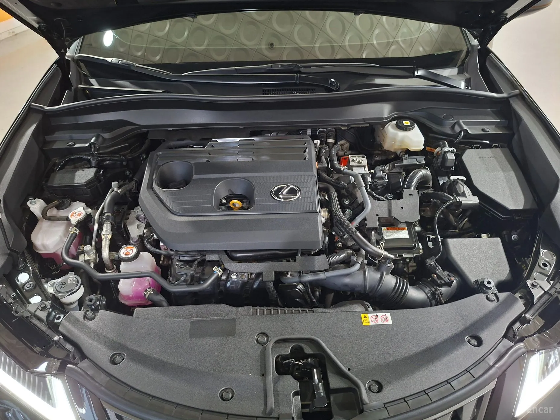 Lexus UX300h превью 7