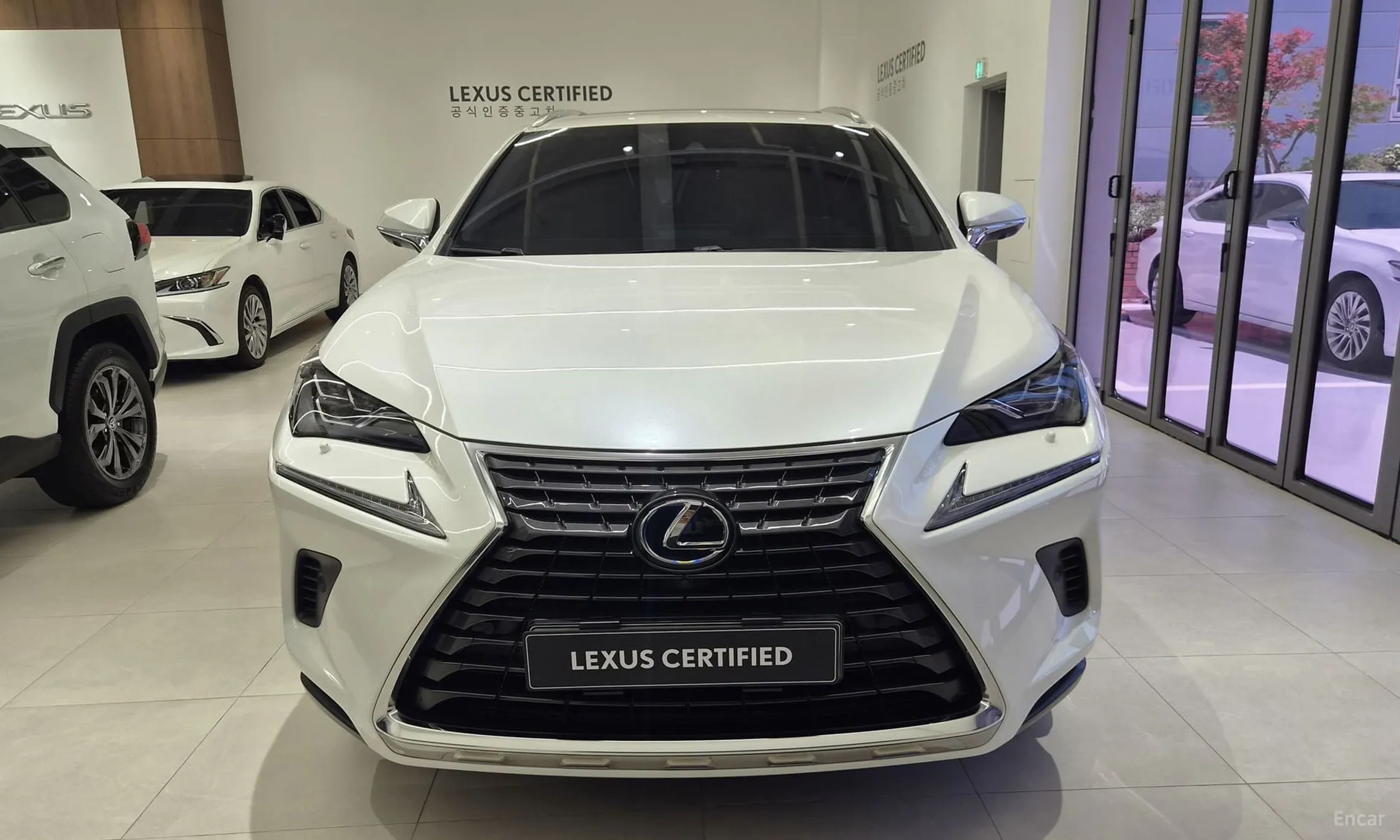Lexus NX300h превью 3
