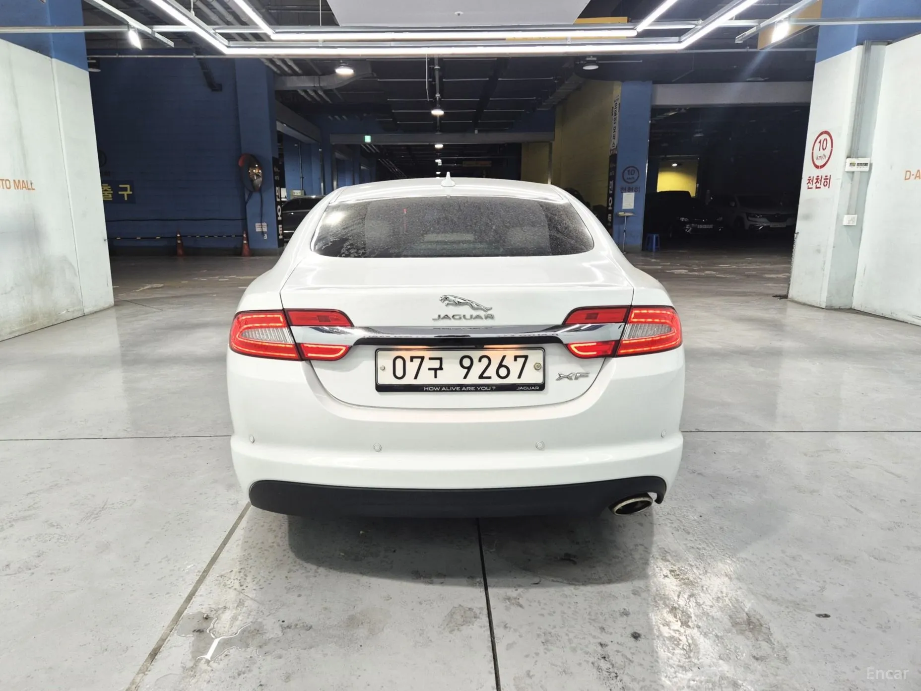 Jaguar New XF превью 7