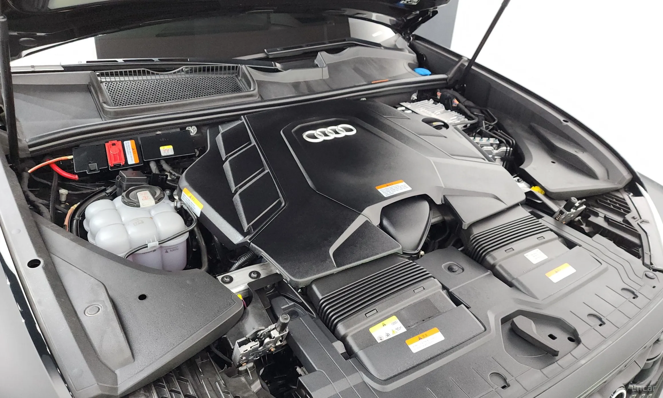 Audi Q8 (4M) превью 6