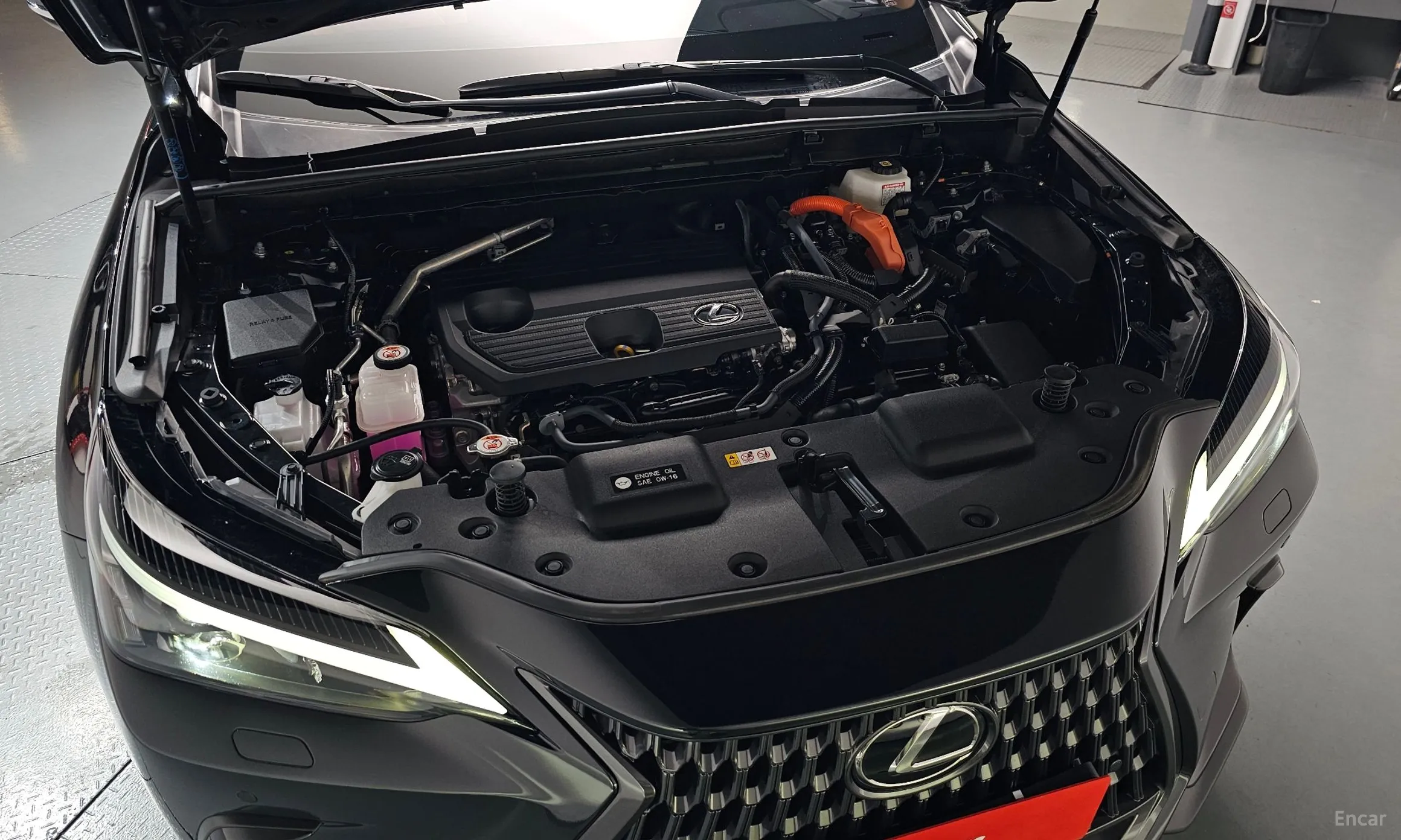 Lexus NX350h Gen 2 превью 6