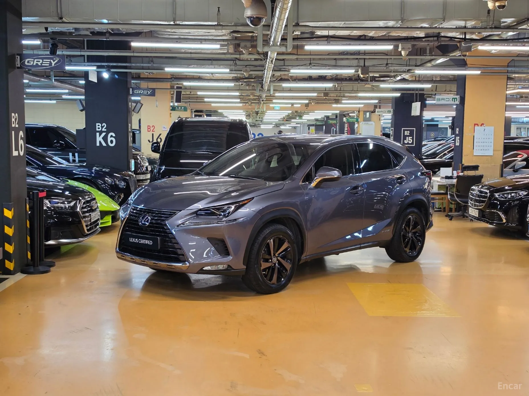 Lexus NX300h