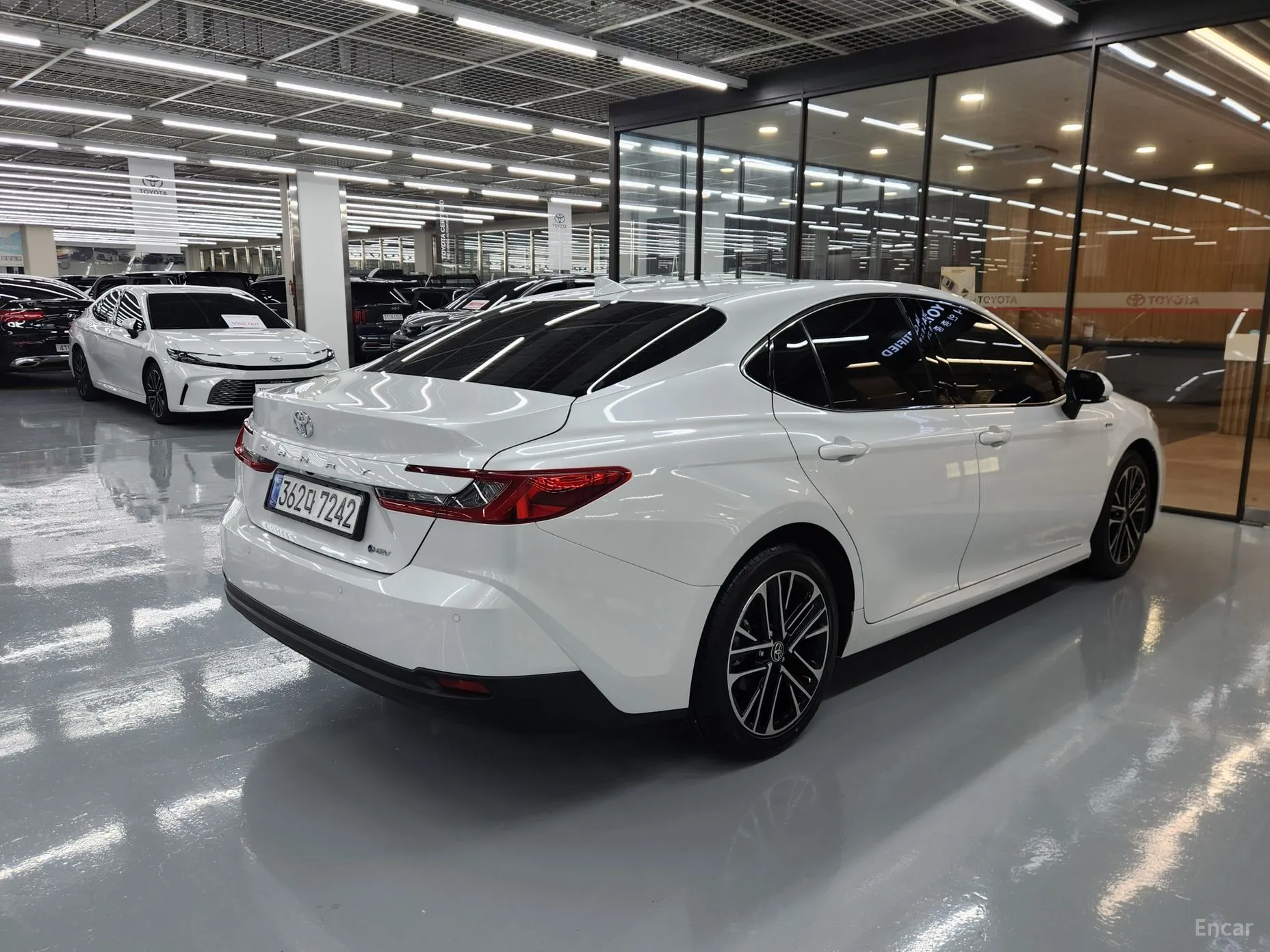 Toyota Camry (XV80)