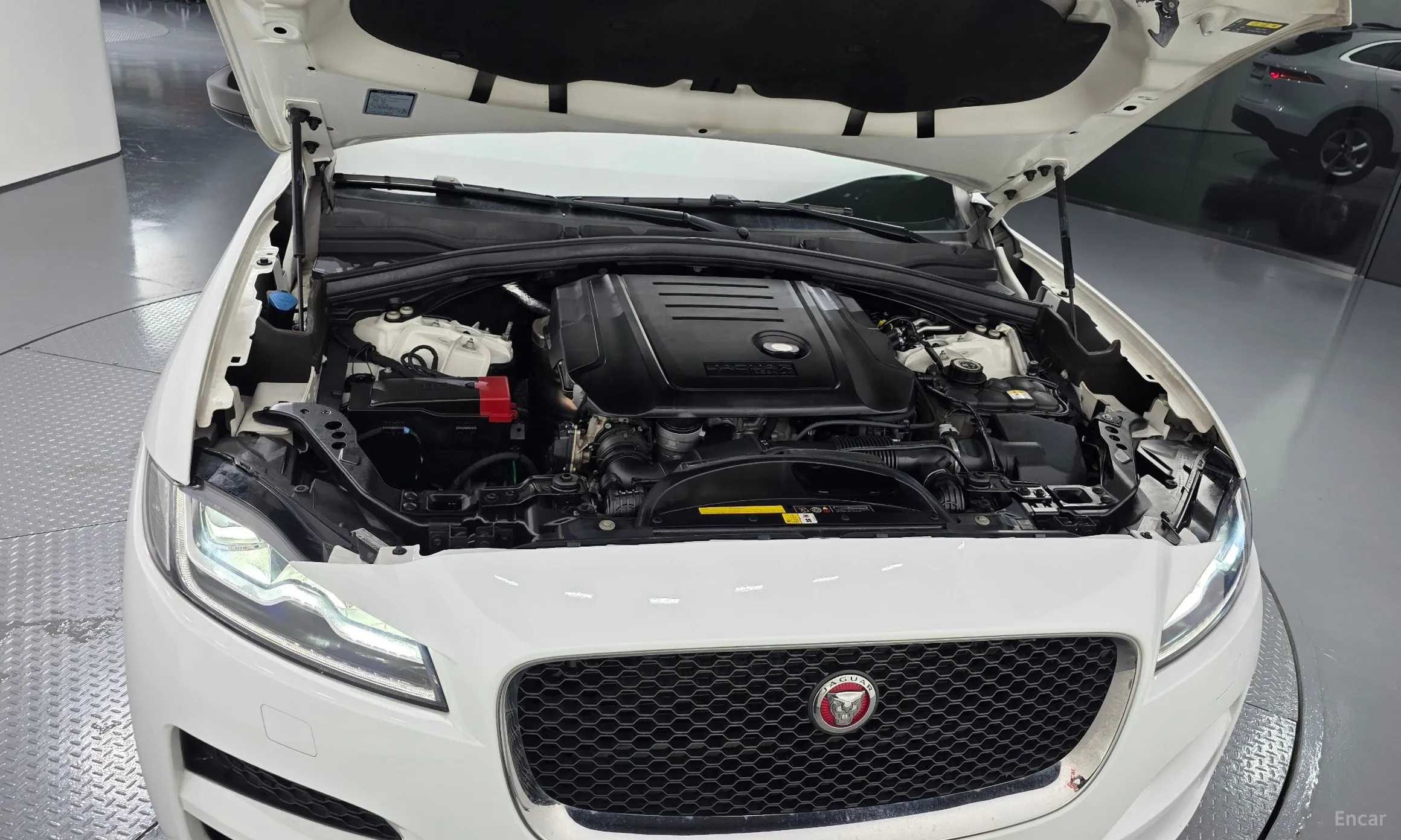 Jaguar F-PACE превью 6