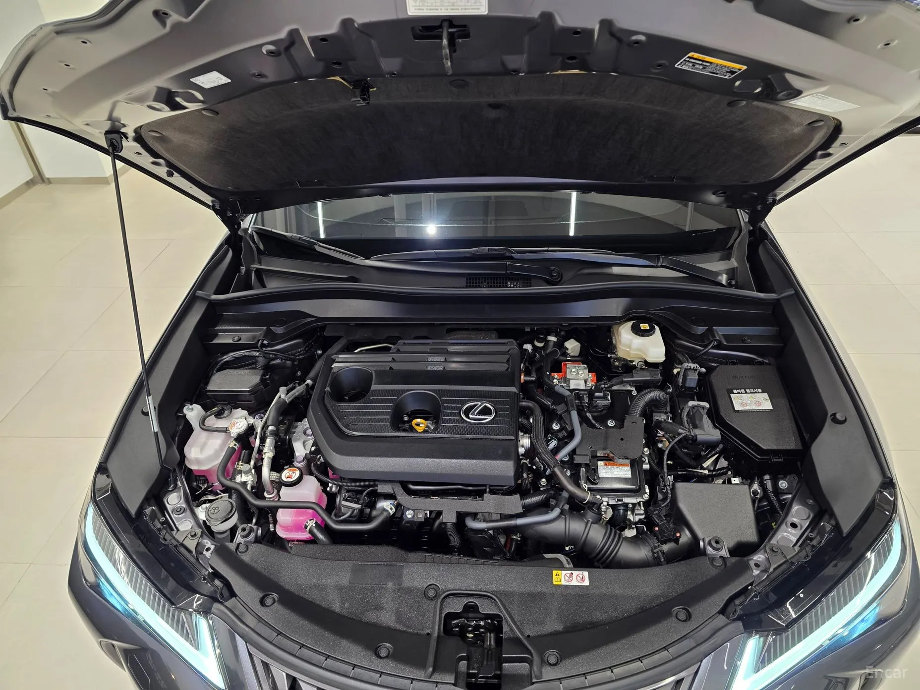 Lexus UX300h превью 6