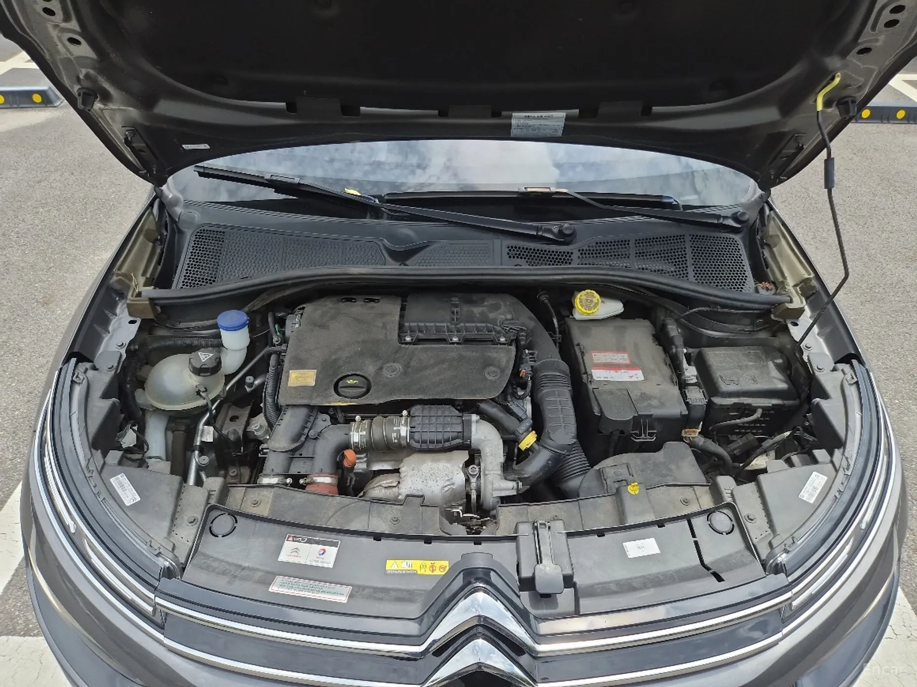 Citroën/DS C4 Cocktooth превью 12