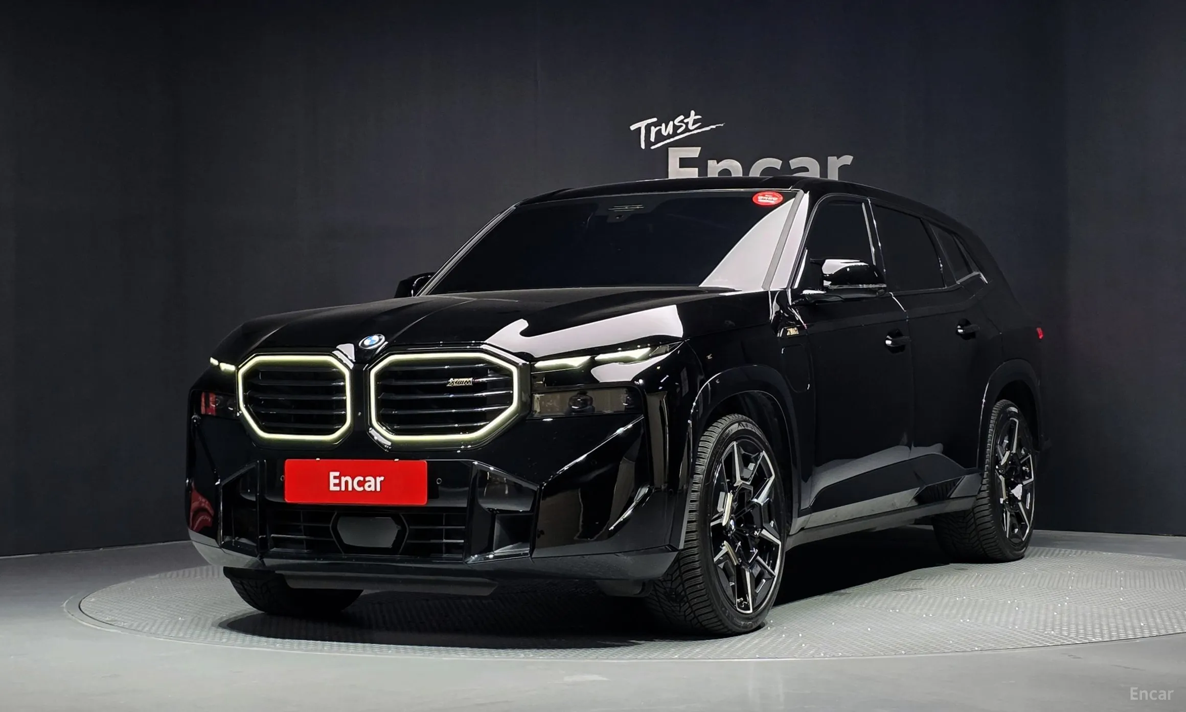 BMW XM (G09)