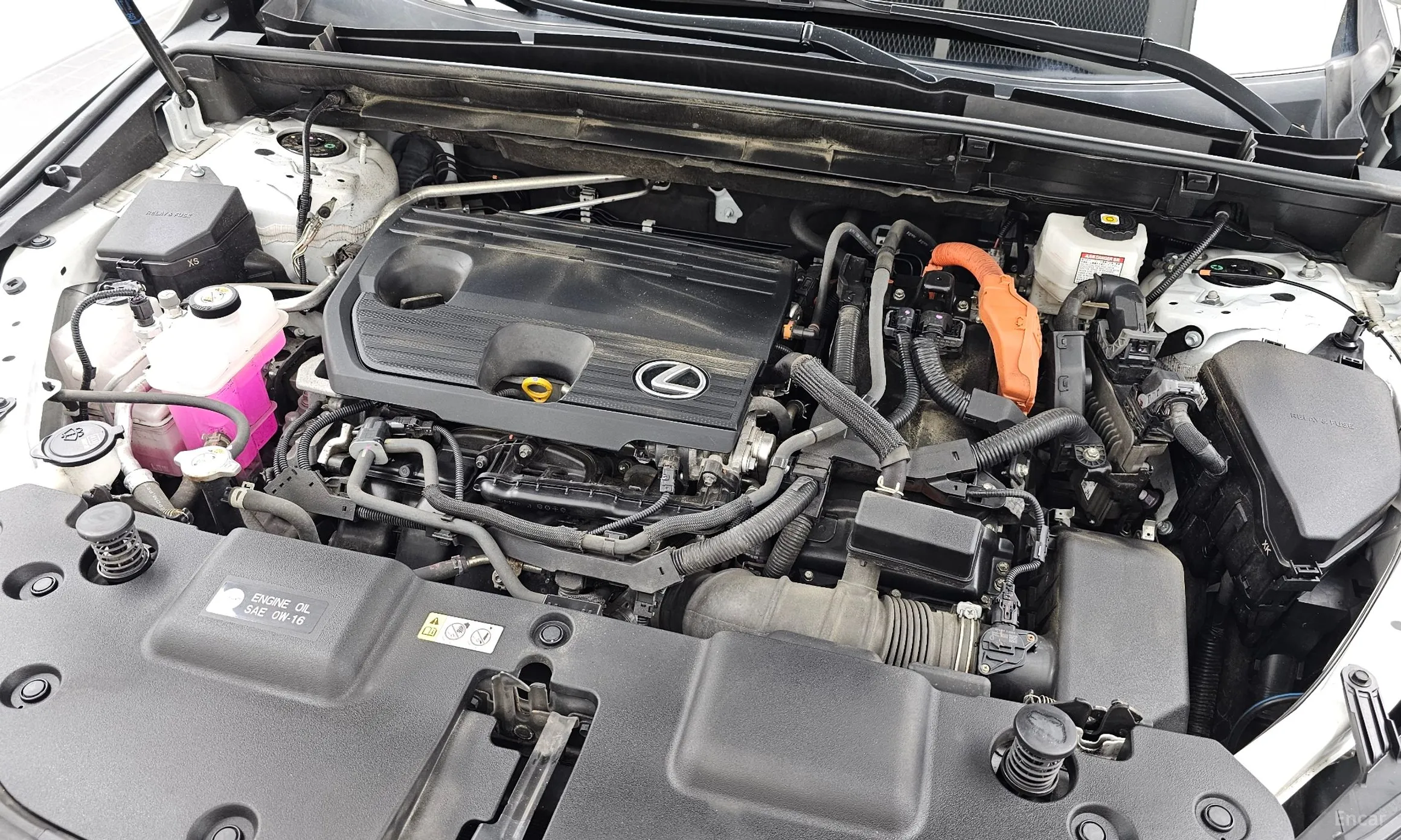 Lexus NX350h Gen 2 превью 6