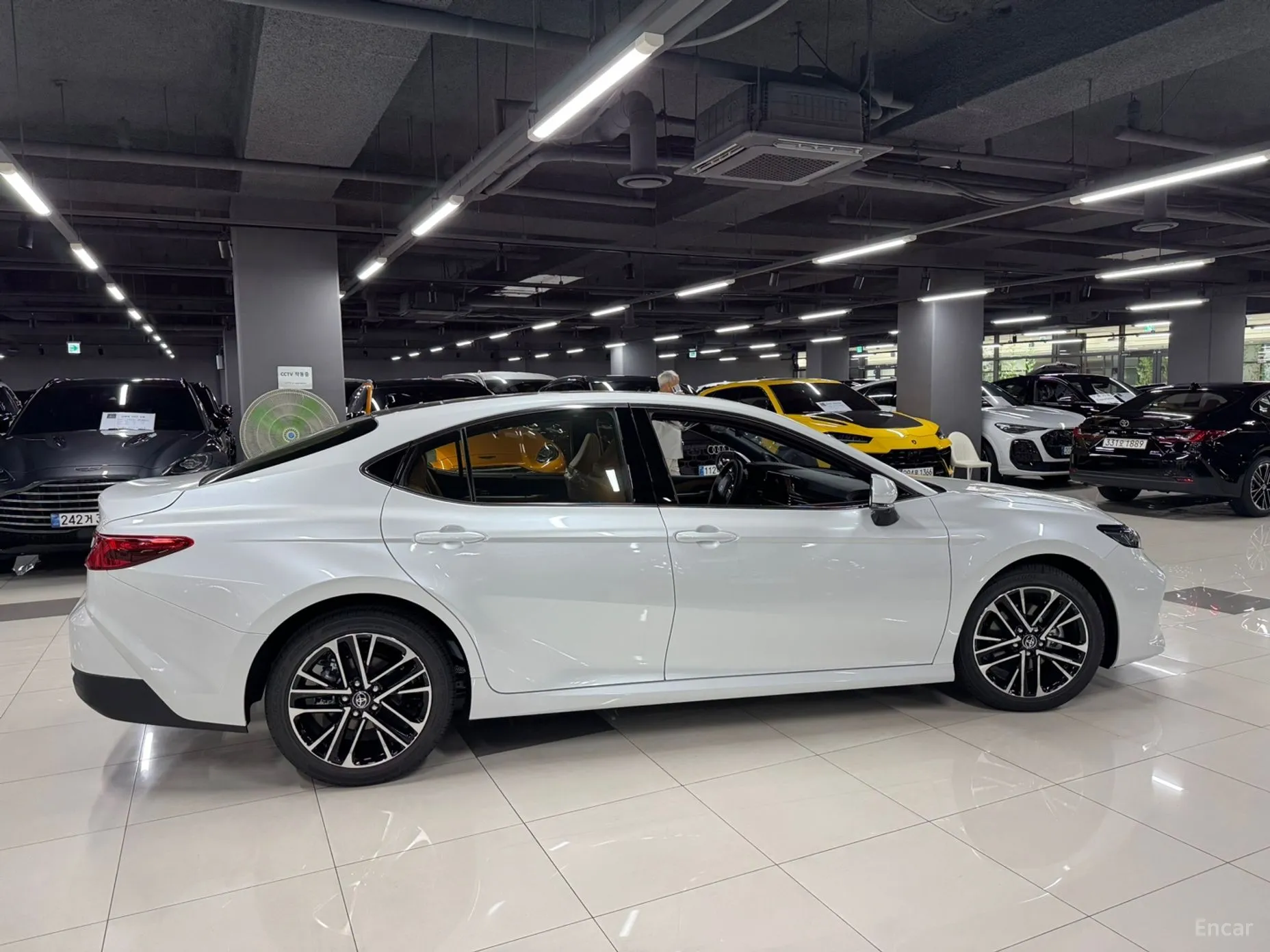 Toyota Camry (XV80)