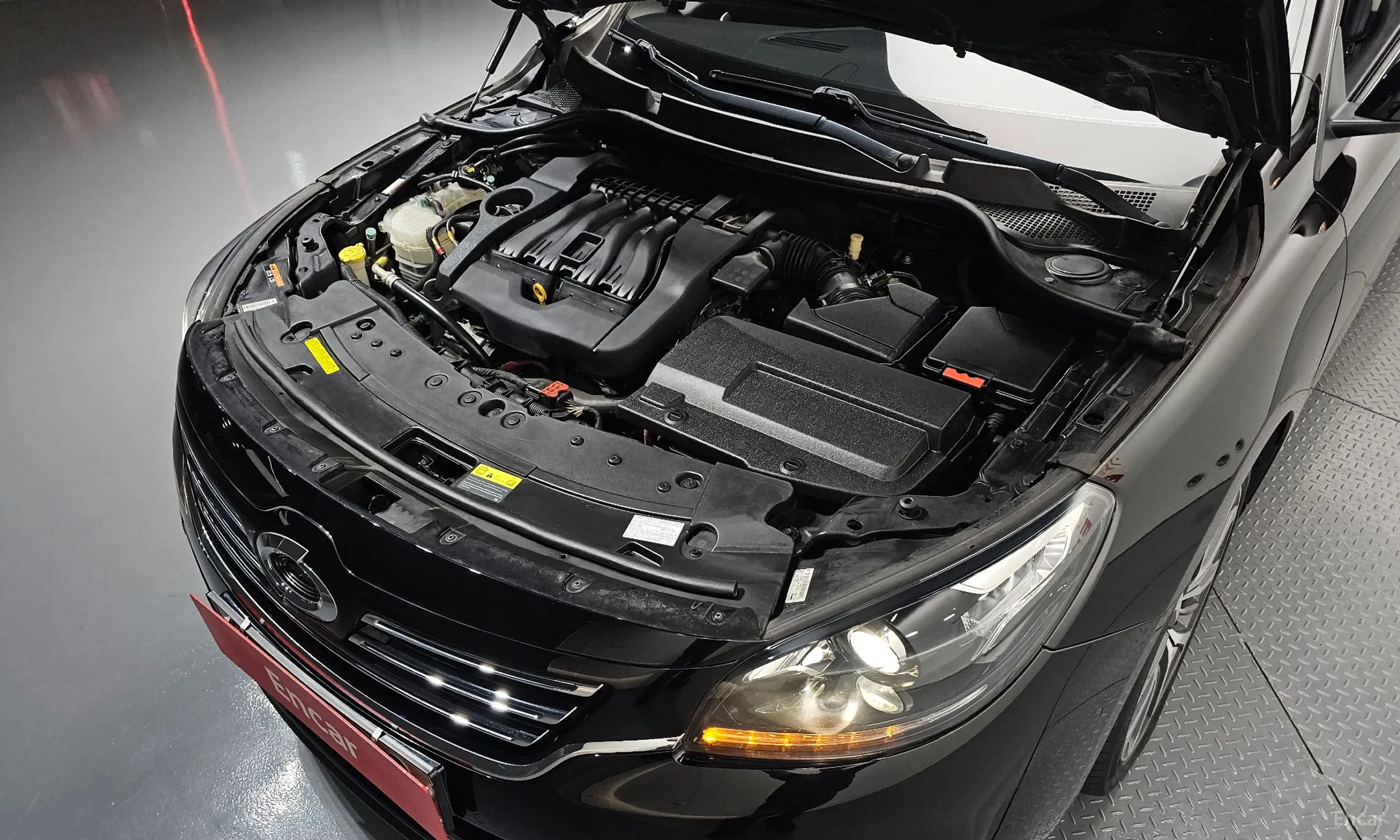 Renault Korea (Samsung) SM7 превью 6