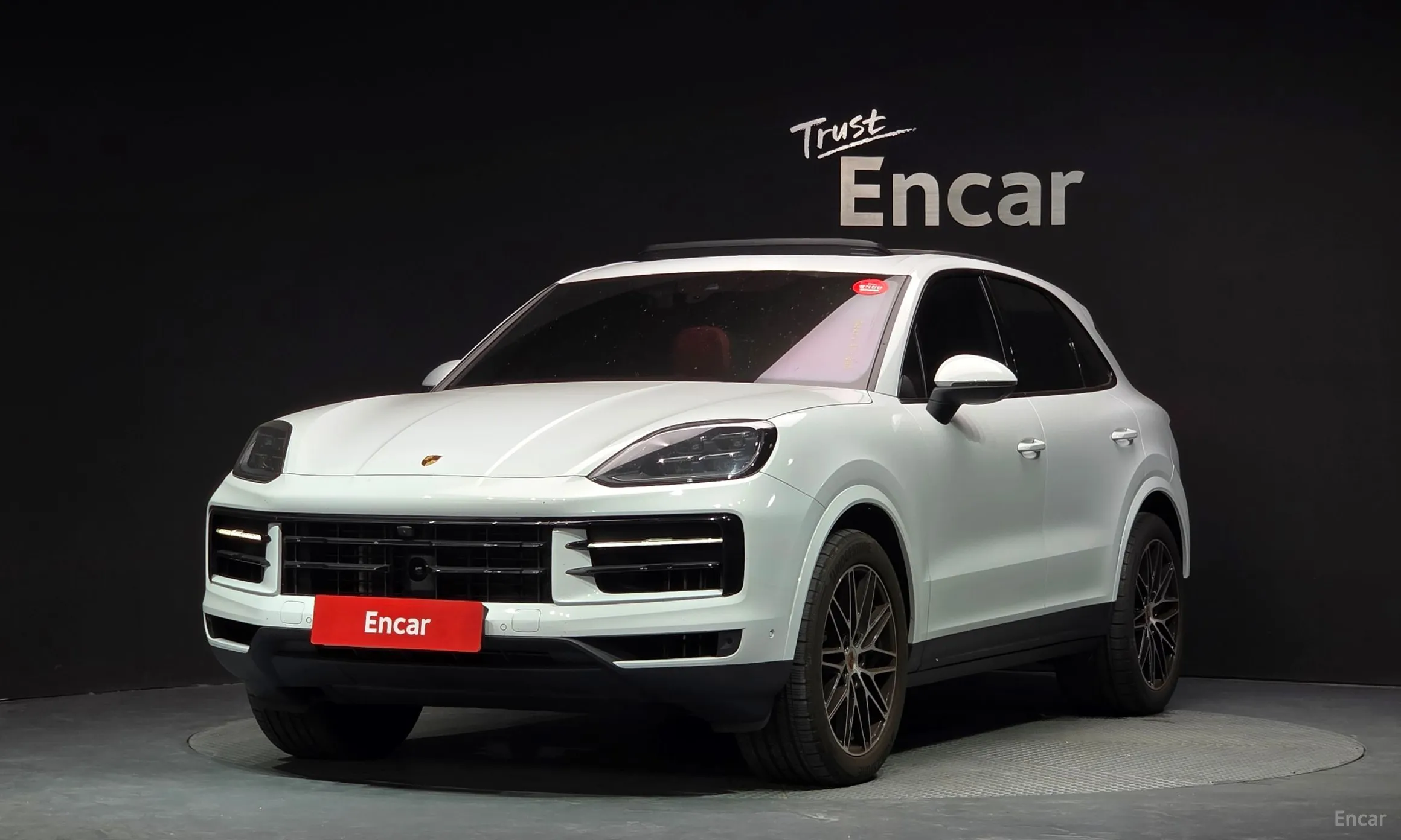 Cayenne (PO536)