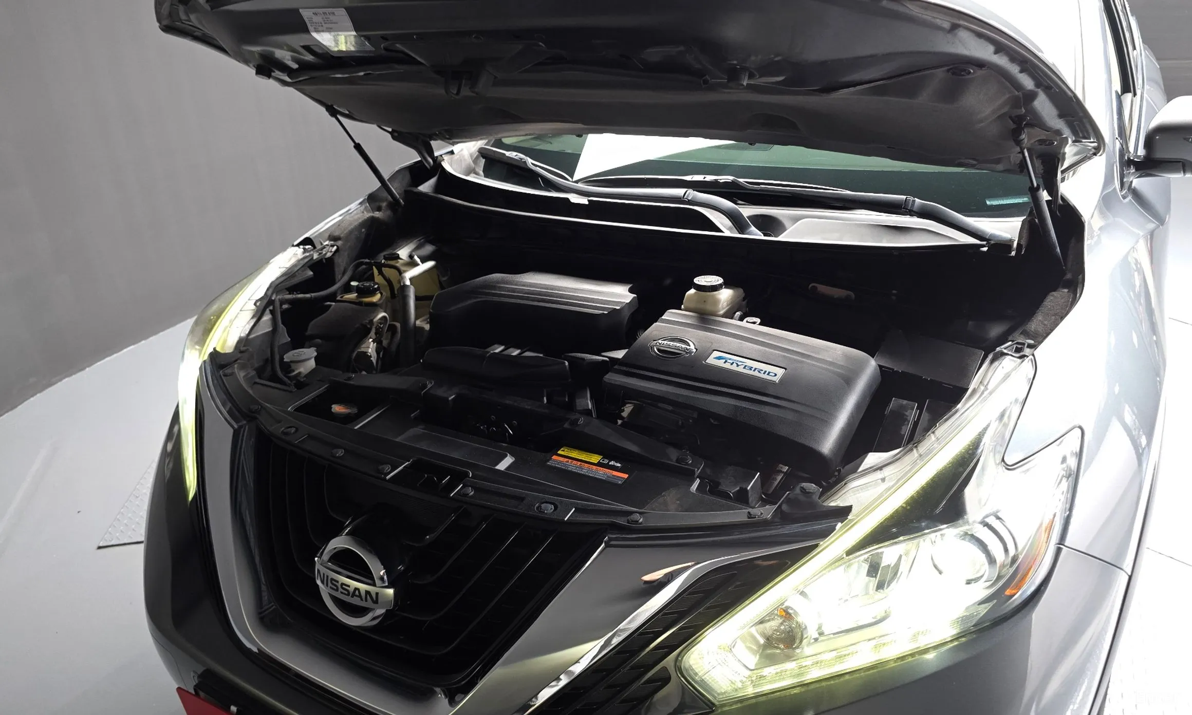 Nissan Murano (Z52) превью 6