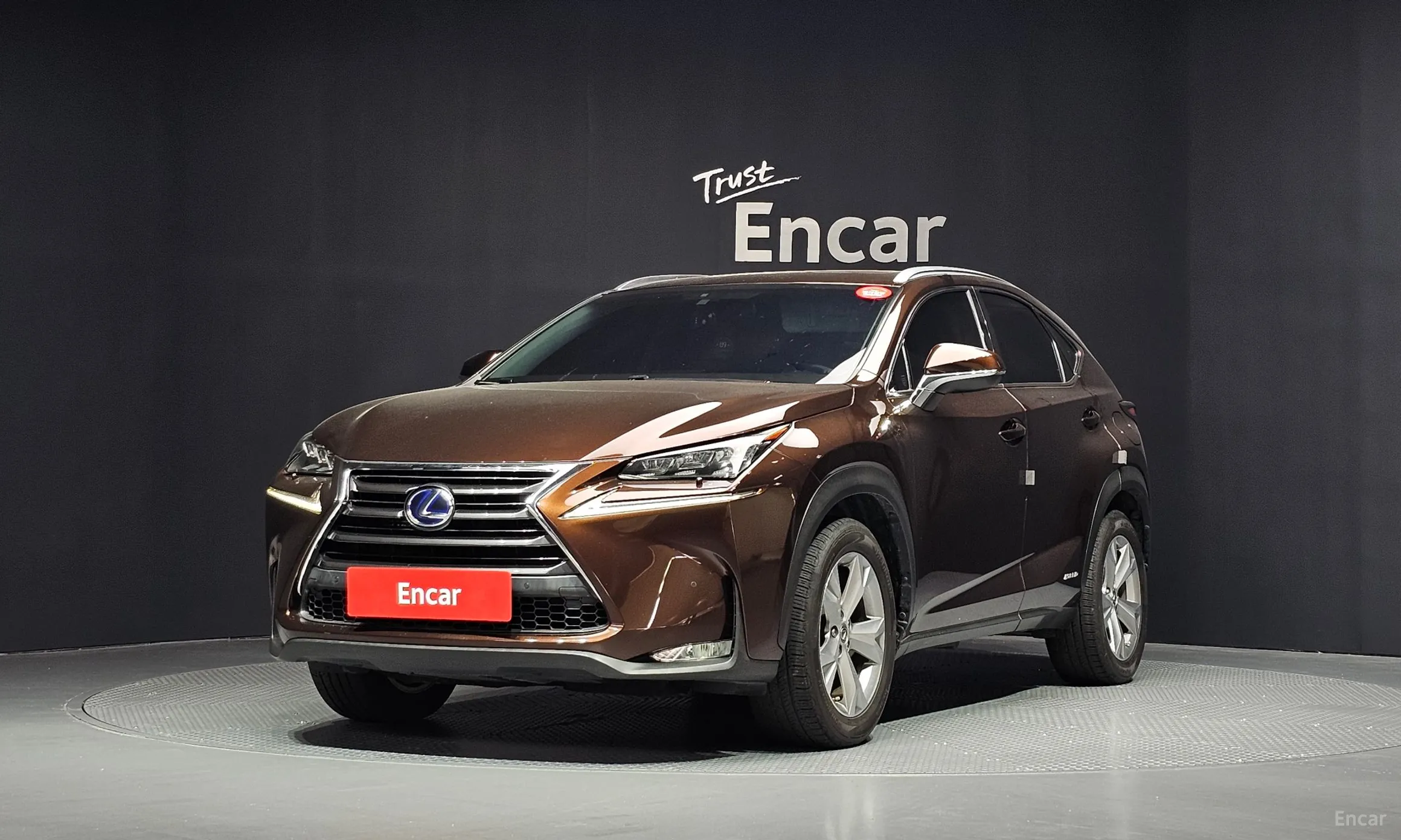 Lexus NX300h