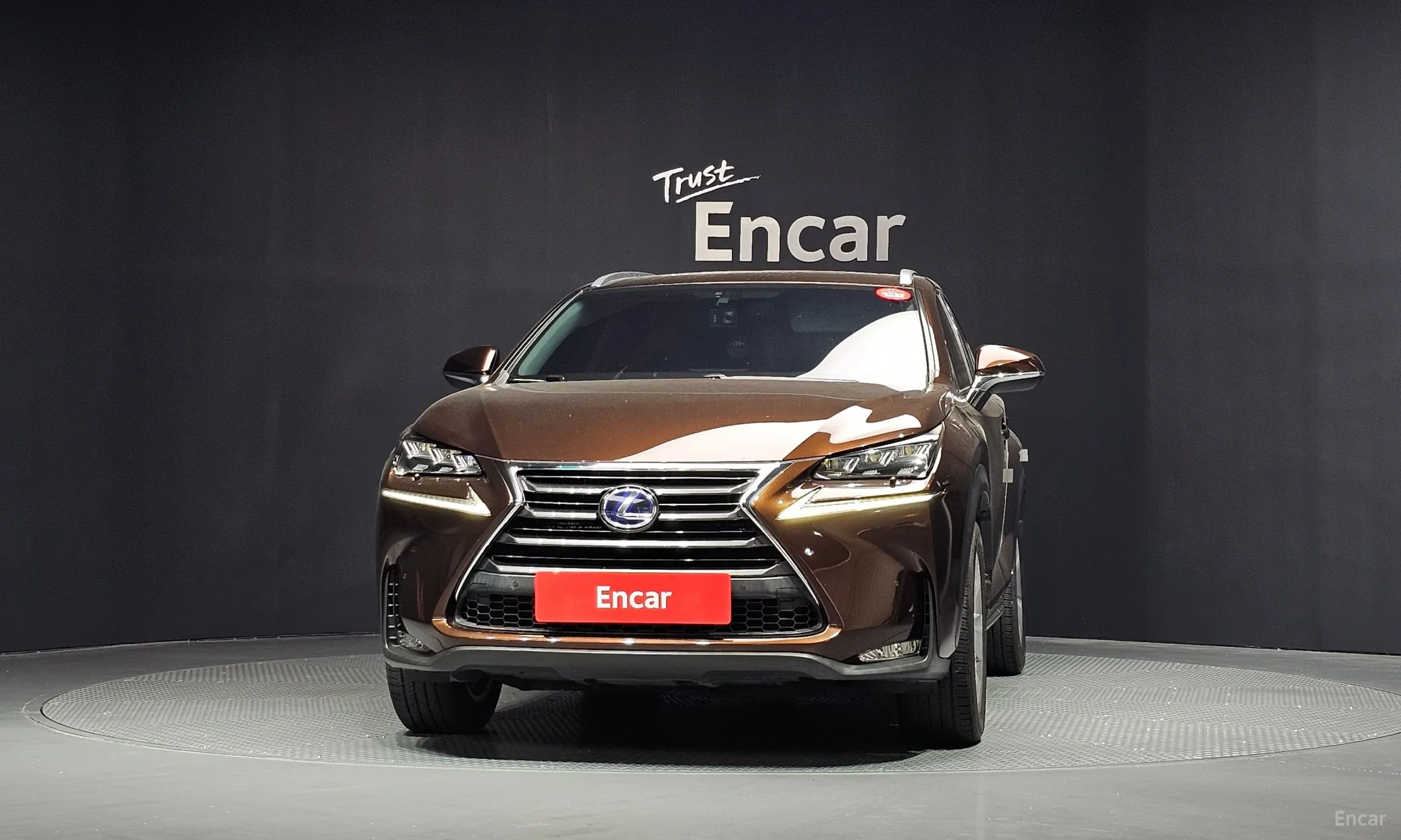 Lexus NX300h превью 3
